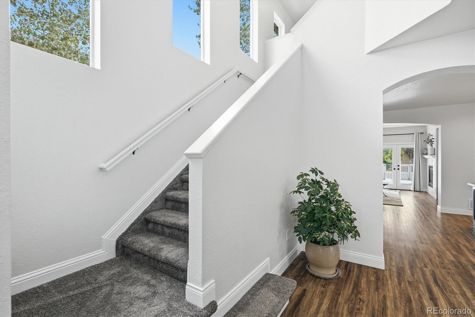 MLS Image #9 for 4235  timber hollow loop,castle rock, Colorado