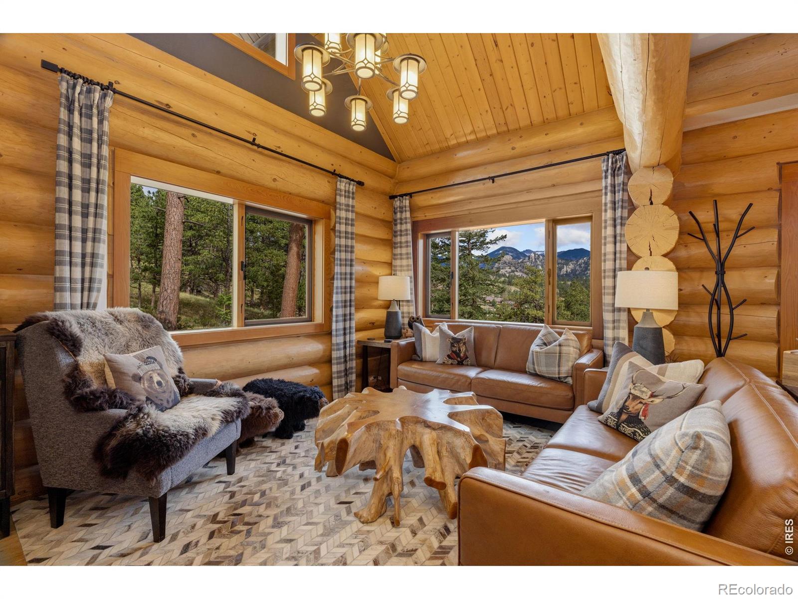 MLS Image #10 for 789  turquoise trail,estes park, Colorado