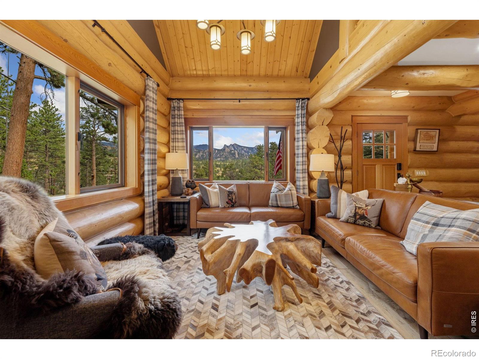 MLS Image #12 for 789  turquoise trail,estes park, Colorado