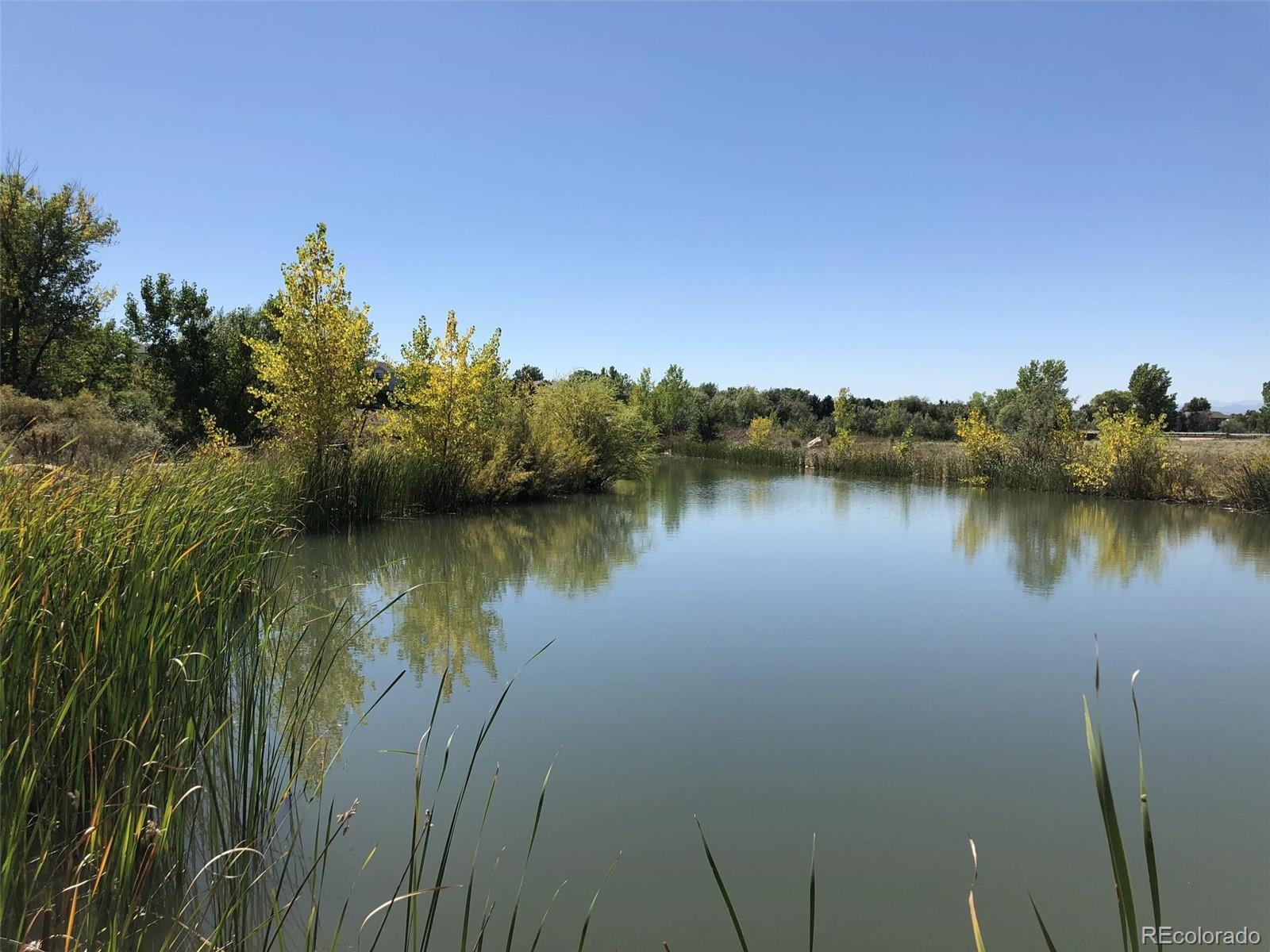 MLS Image #20 for 12138  melody drive,denver, Colorado