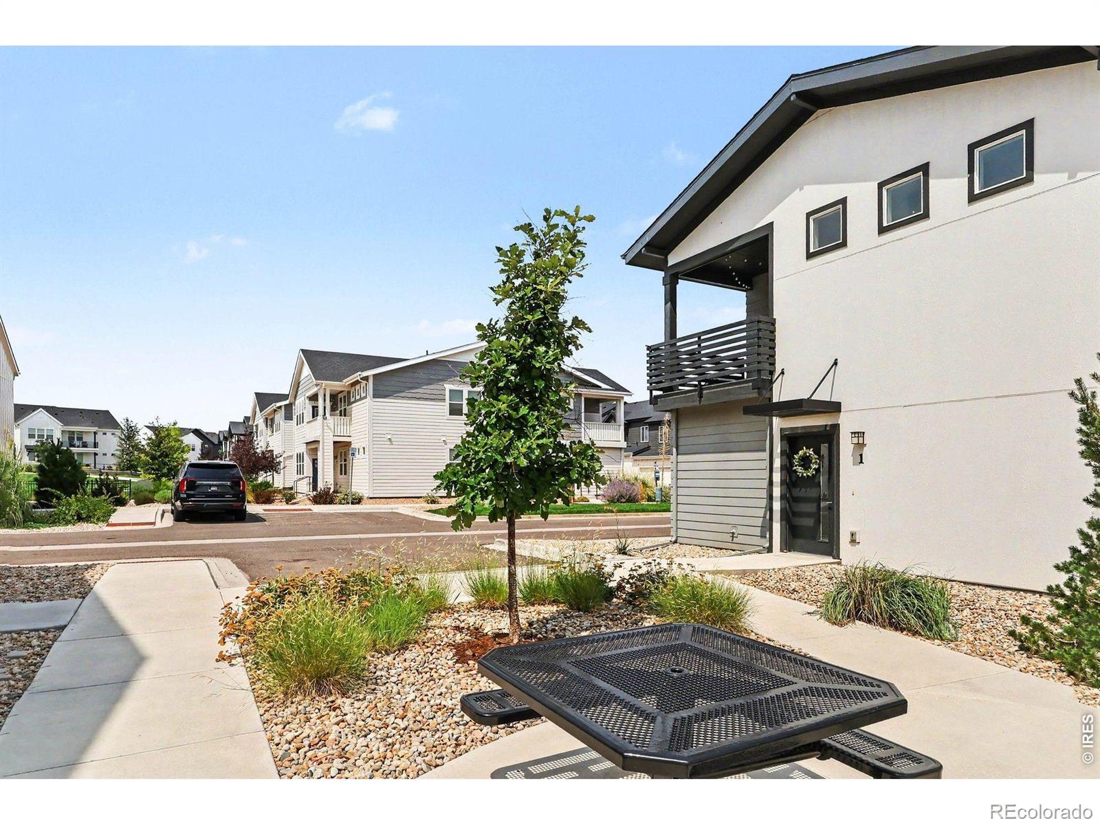 MLS Image #16 for 1788  iron wheel drive,windsor, Colorado