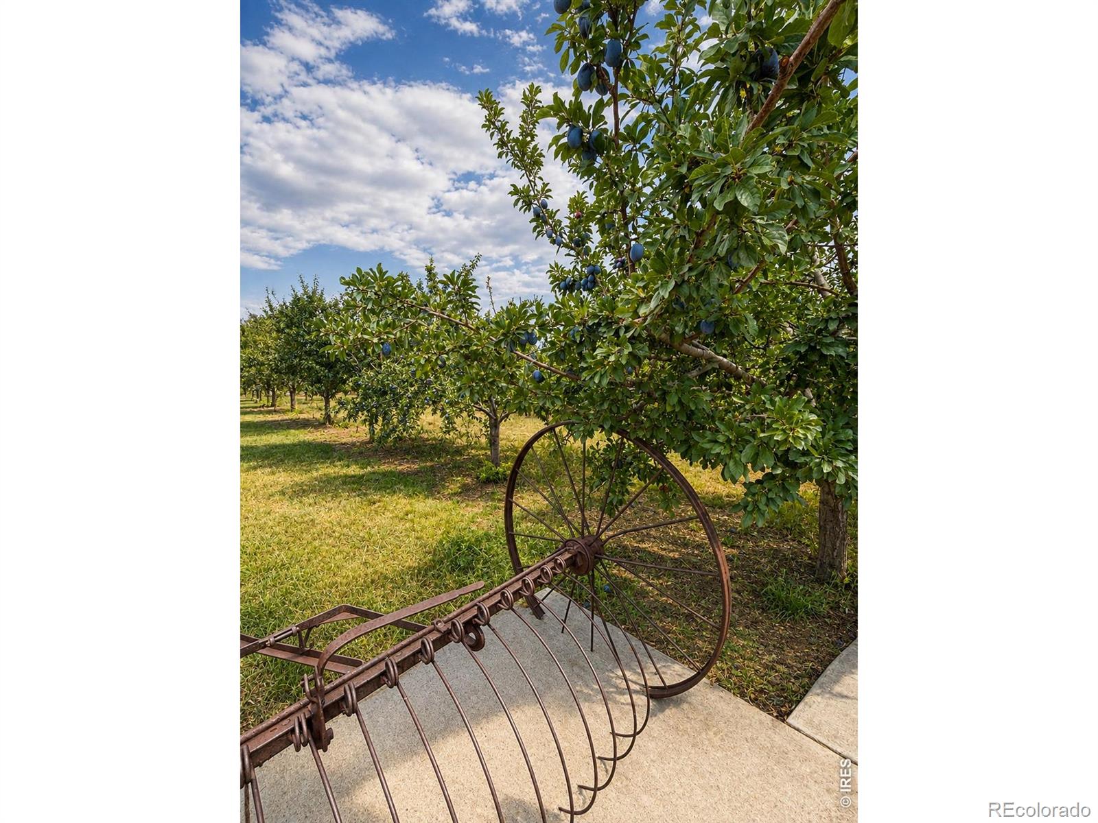 MLS Image #22 for 1788  iron wheel drive,windsor, Colorado