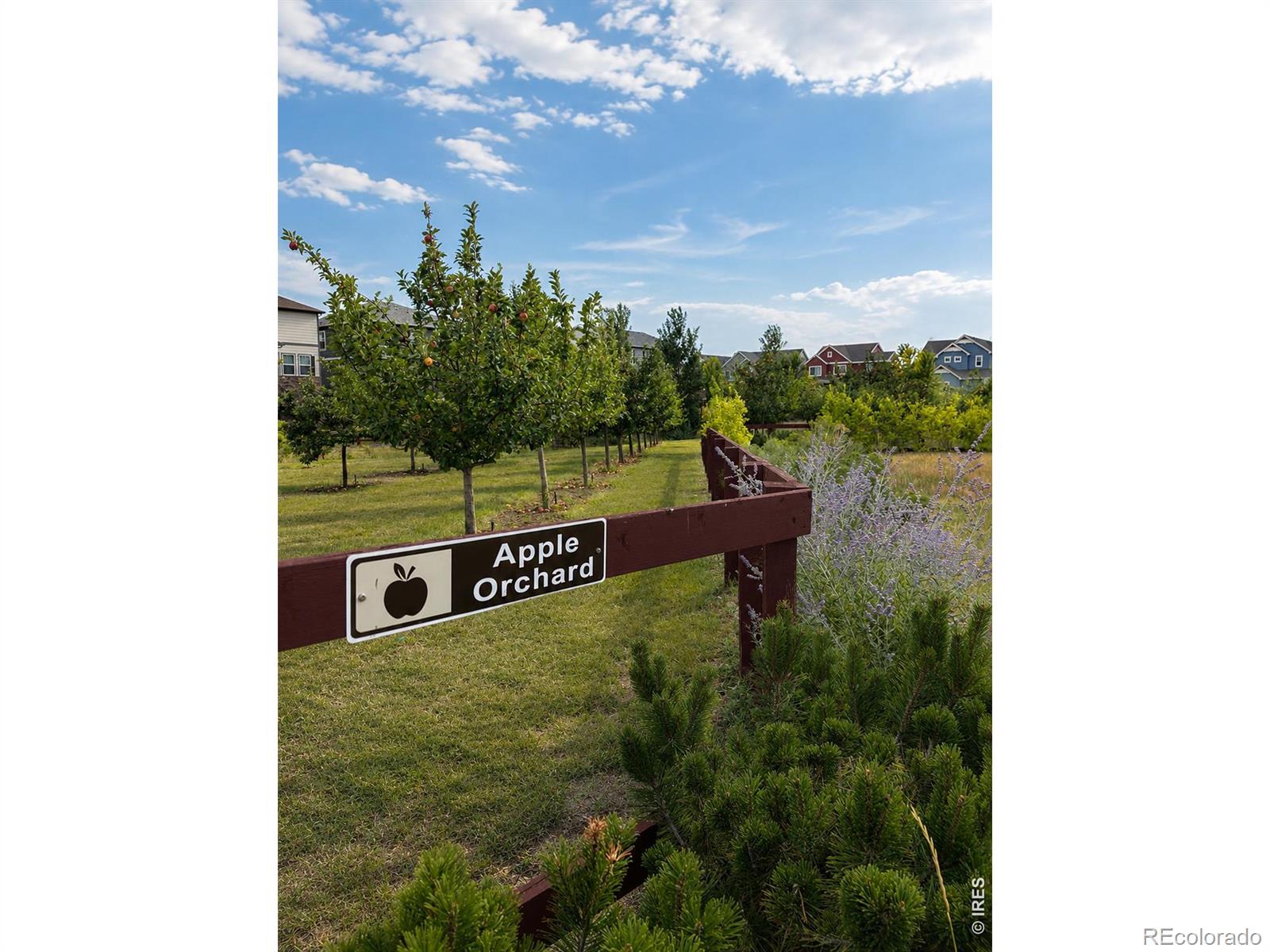MLS Image #24 for 1788  iron wheel drive,windsor, Colorado