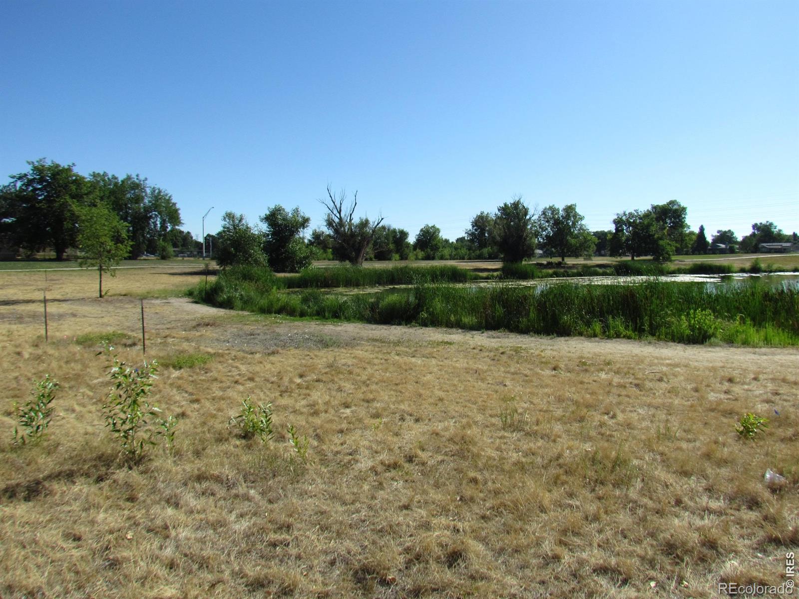 MLS Image #49 for 1017 s krameria street,denver, Colorado