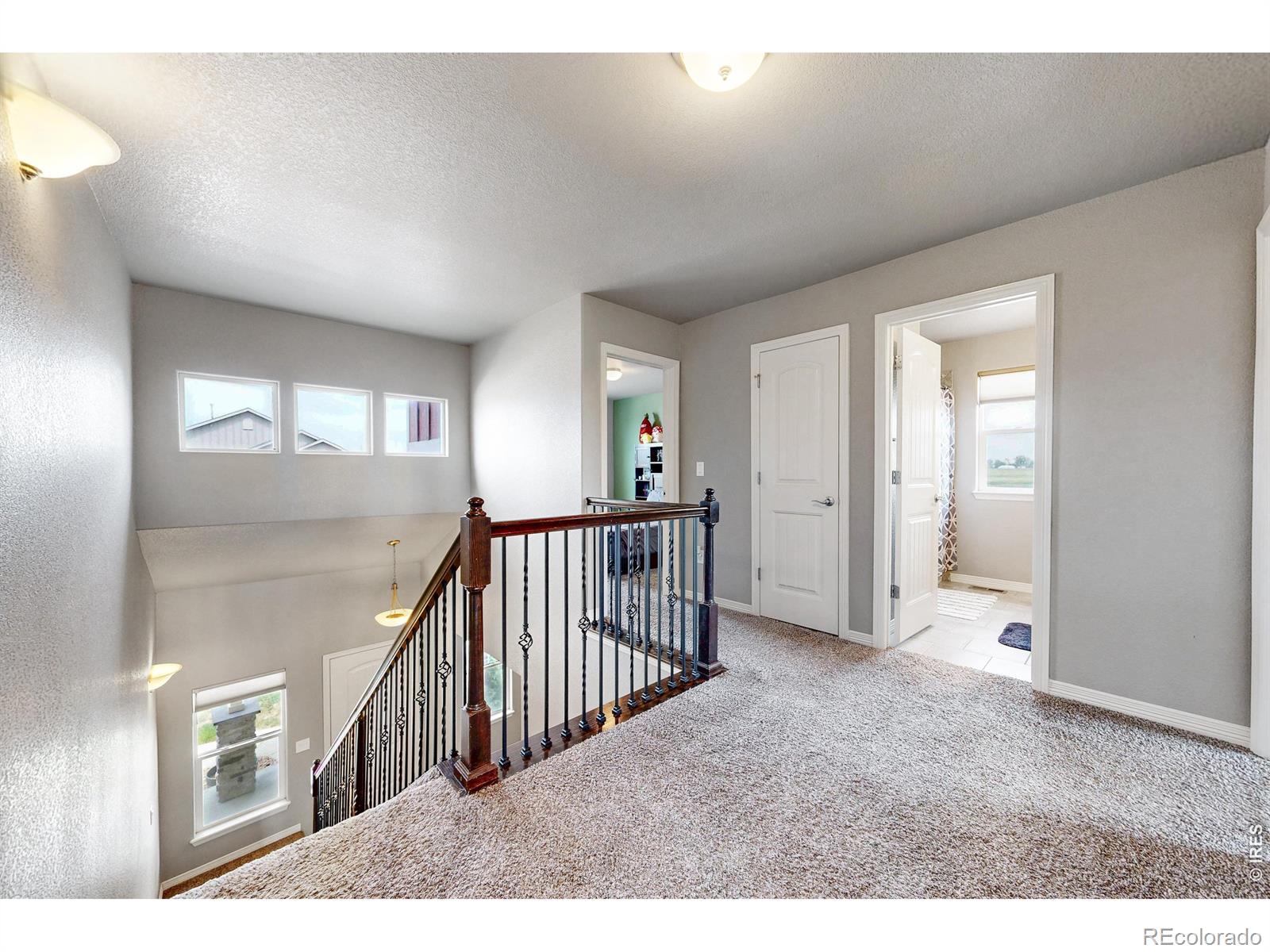 MLS Image #12 for 1509  cirque valley lane,severance, Colorado