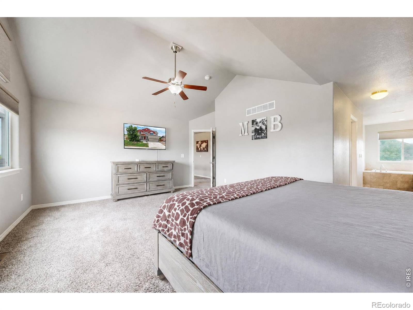 MLS Image #14 for 1509  cirque valley lane,severance, Colorado
