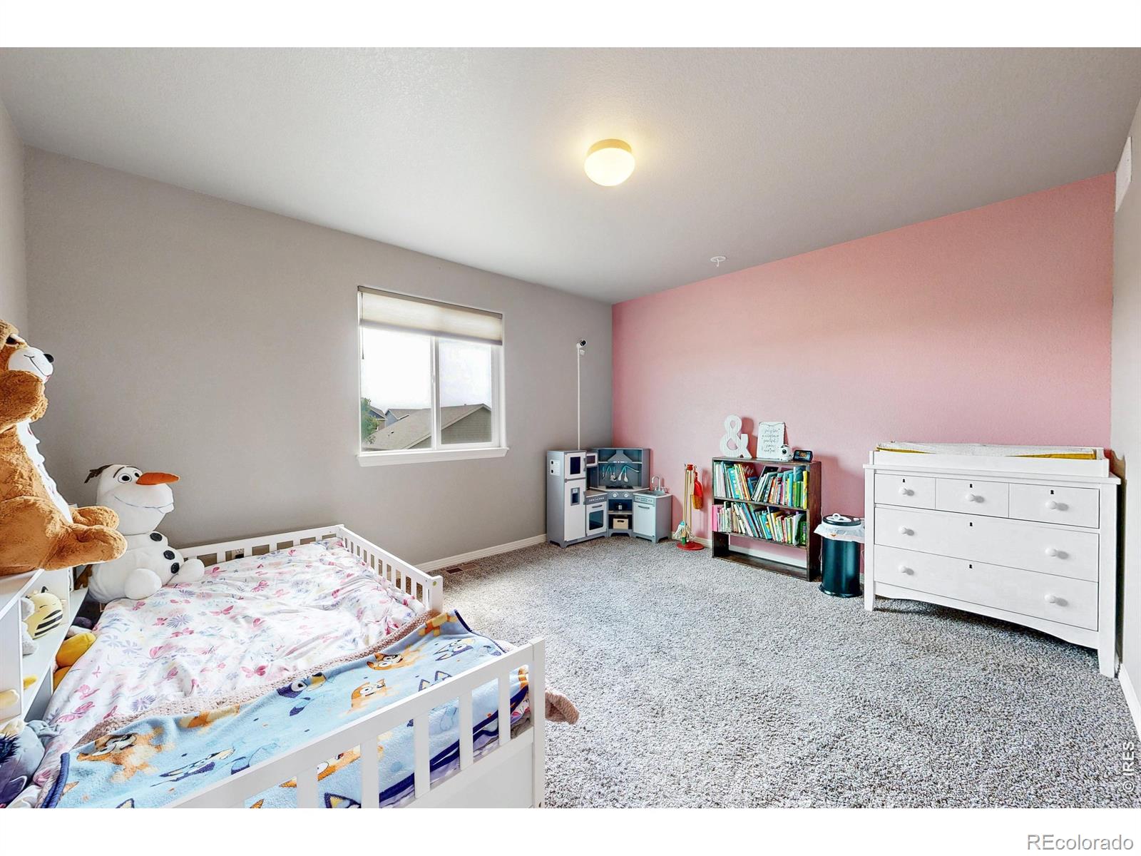 MLS Image #20 for 1509  cirque valley lane,severance, Colorado