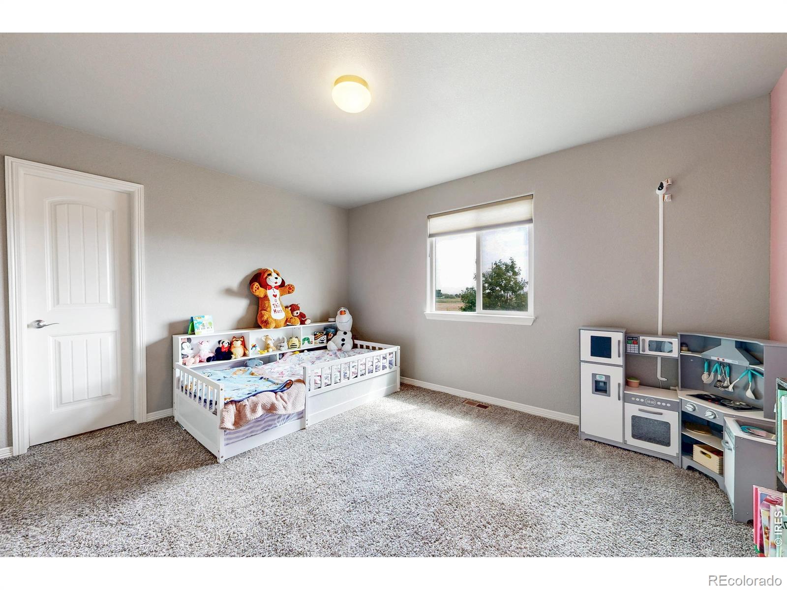 MLS Image #21 for 1509  cirque valley lane,severance, Colorado