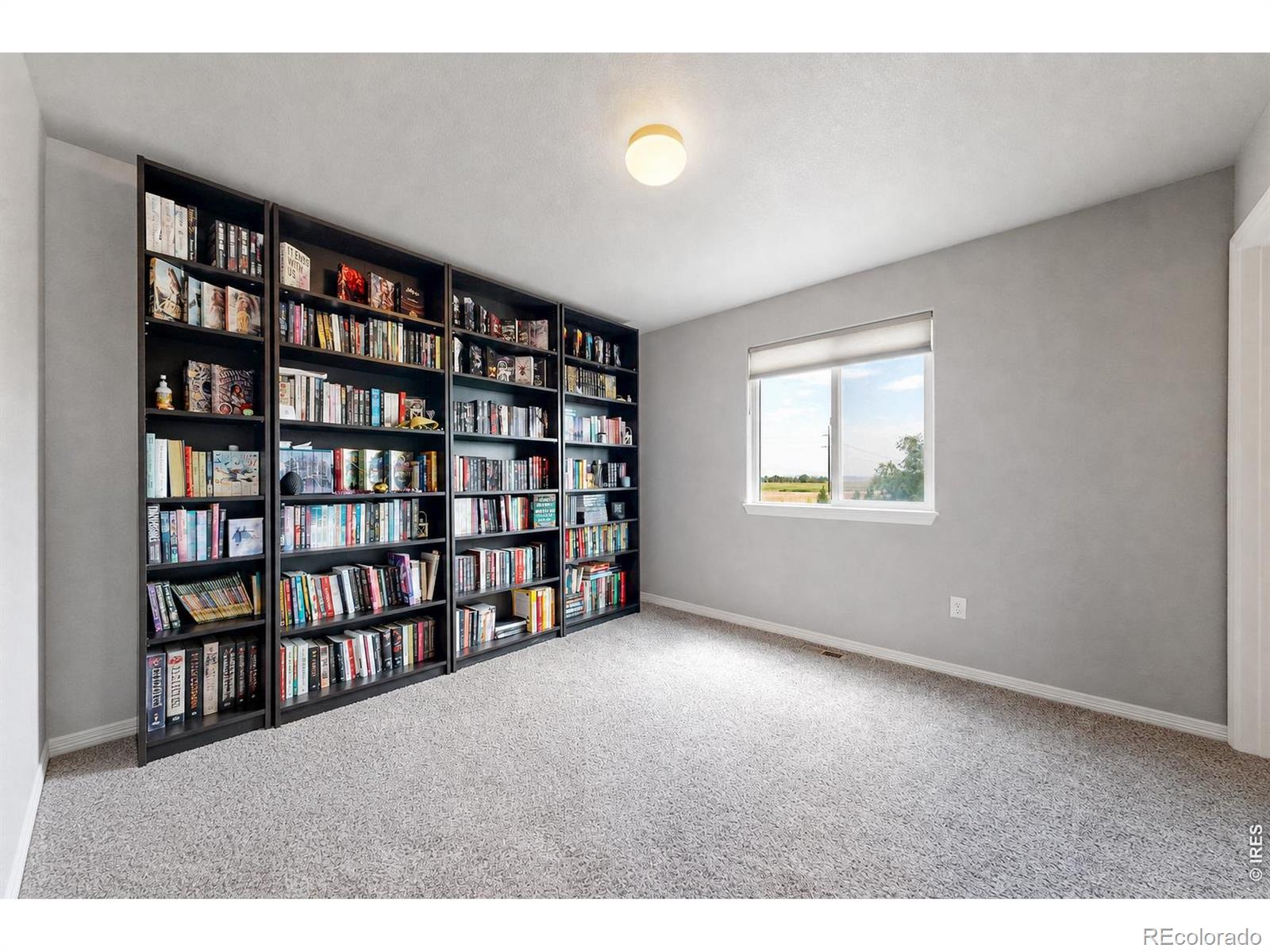 MLS Image #22 for 1509  cirque valley lane,severance, Colorado
