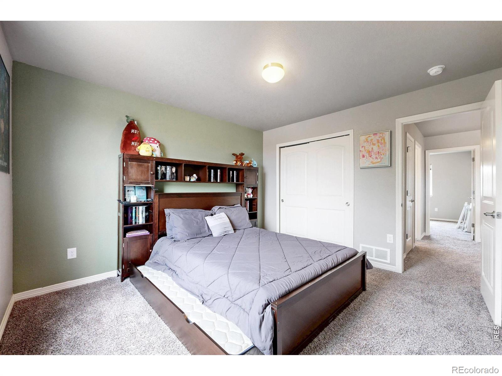 MLS Image #24 for 1509  cirque valley lane,severance, Colorado