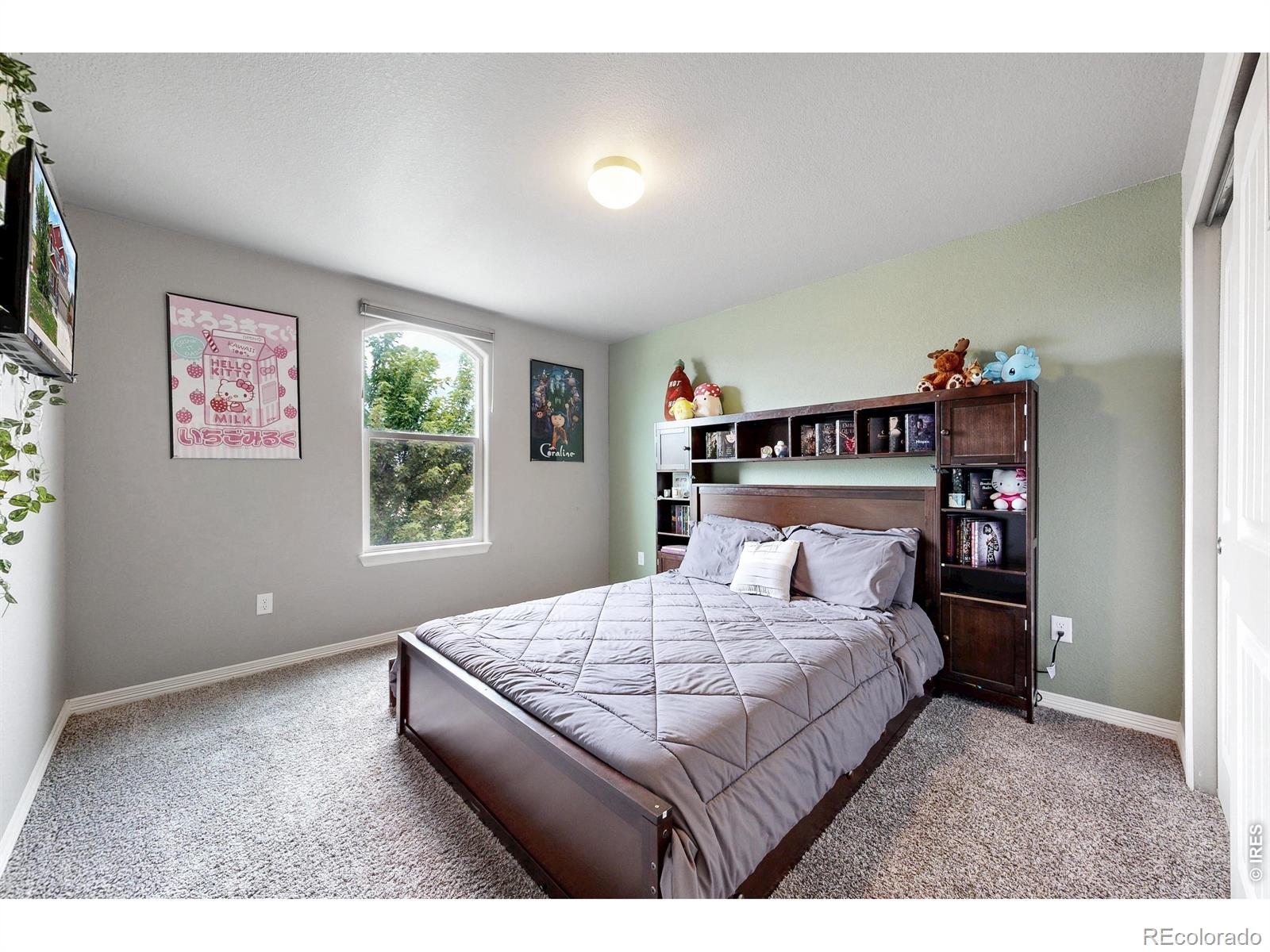 MLS Image #25 for 1509  cirque valley lane,severance, Colorado