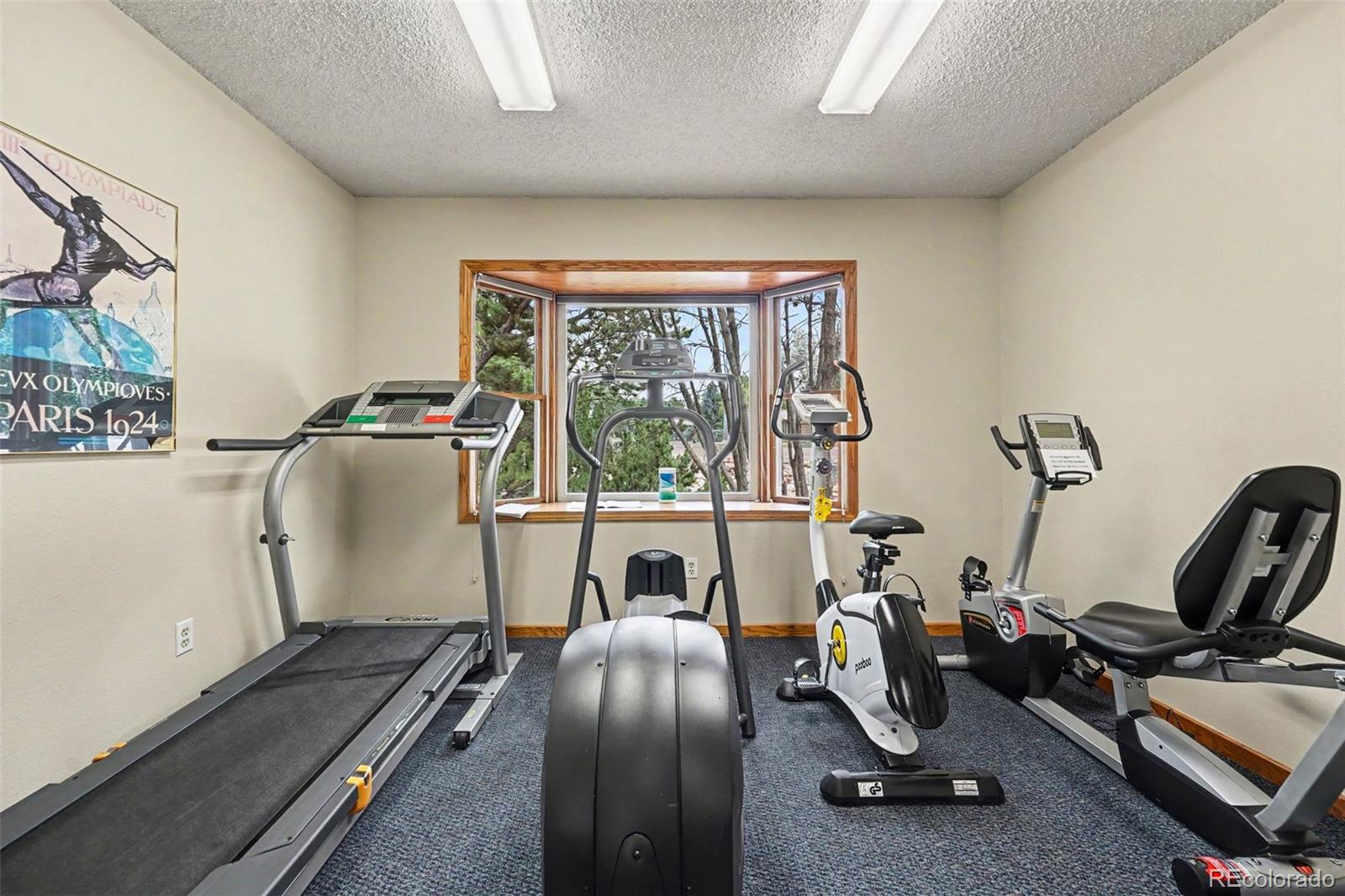 MLS Image #37 for 1566 w 29th street,loveland, Colorado