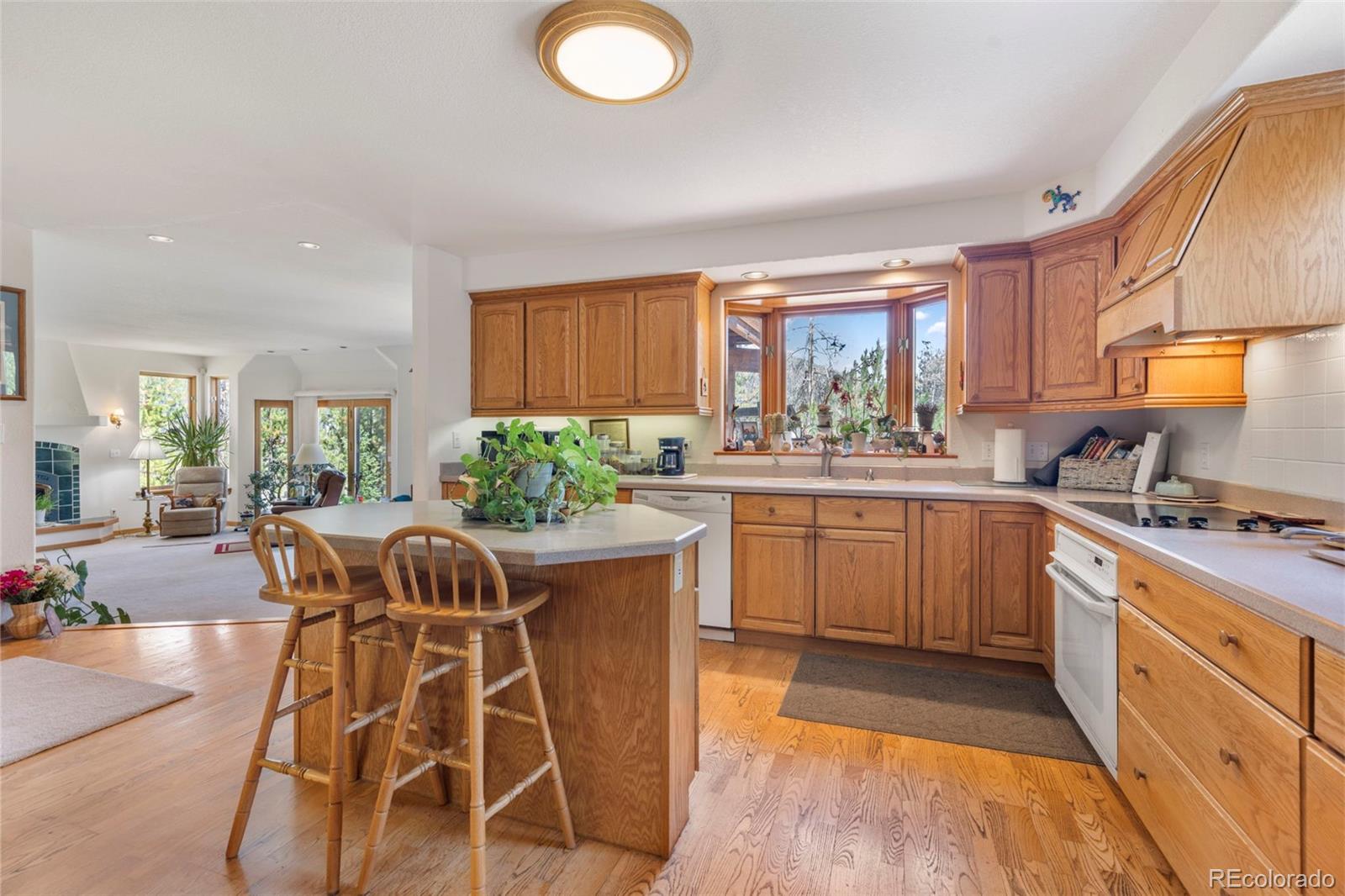 MLS Image #23 for 164  sherwood trail,breckenridge, Colorado