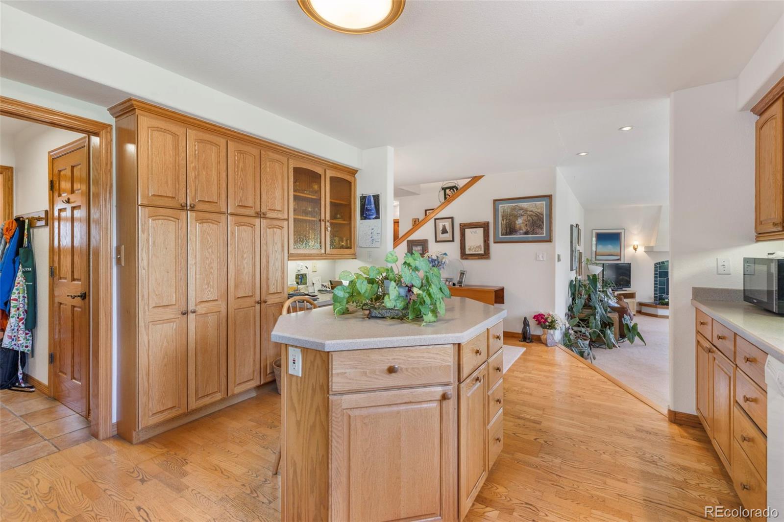 MLS Image #24 for 164  sherwood trail,breckenridge, Colorado