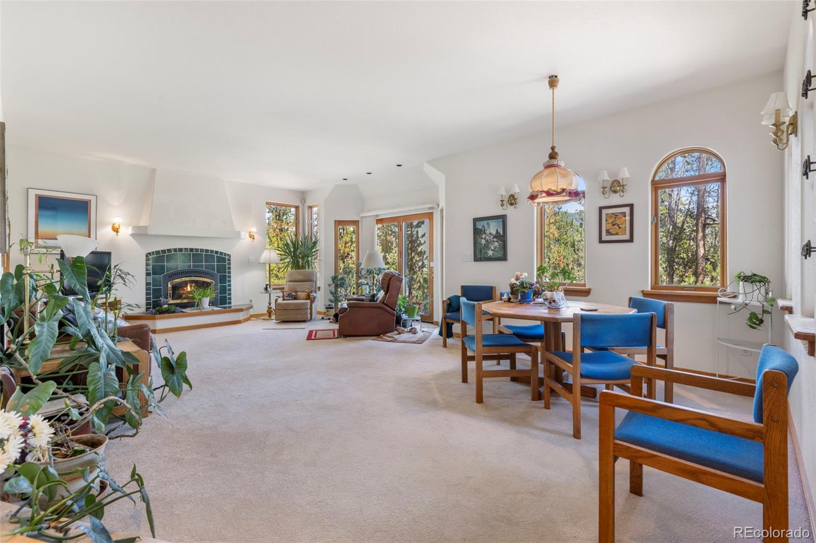 MLS Image #25 for 164  sherwood trail,breckenridge, Colorado