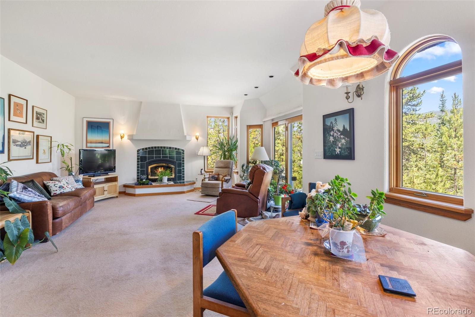 MLS Image #26 for 164  sherwood trail,breckenridge, Colorado