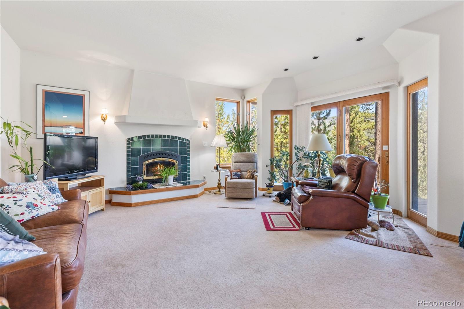 MLS Image #27 for 164  sherwood trail,breckenridge, Colorado