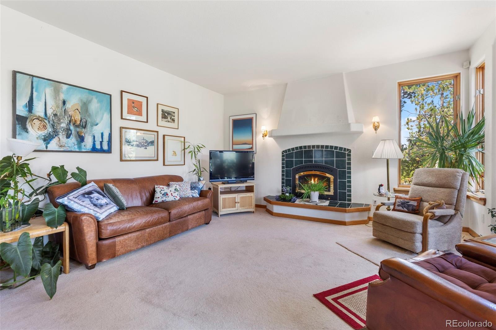 MLS Image #28 for 164  sherwood trail,breckenridge, Colorado