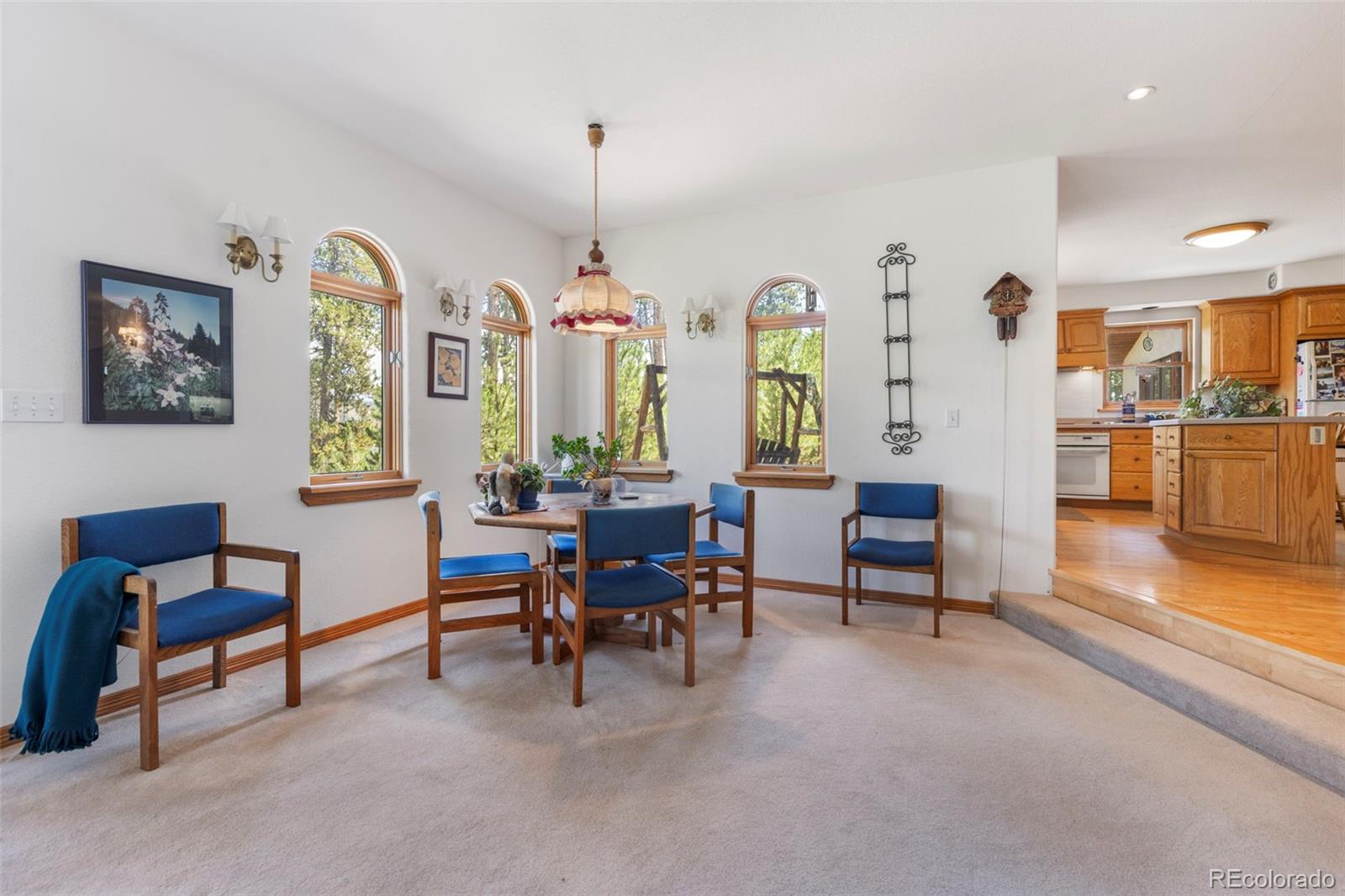 MLS Image #31 for 164  sherwood trail,breckenridge, Colorado