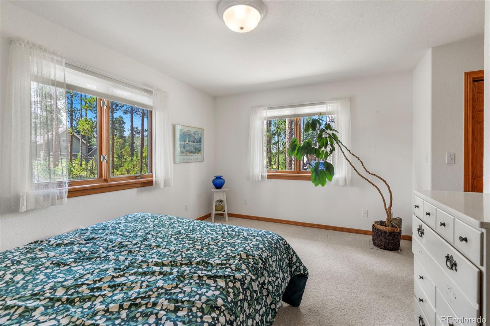 MLS Image #34 for 164  sherwood trail,breckenridge, Colorado