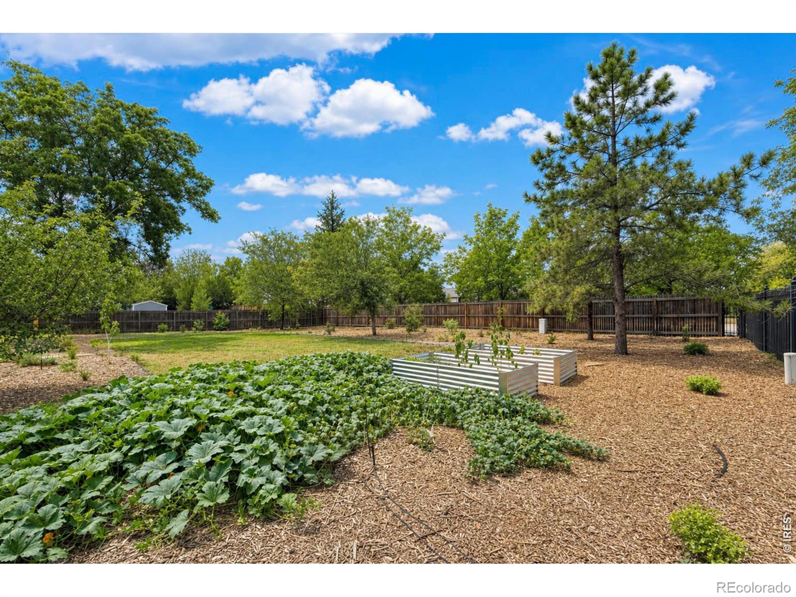 MLS Image #41 for 1269  winslow circle,longmont, Colorado