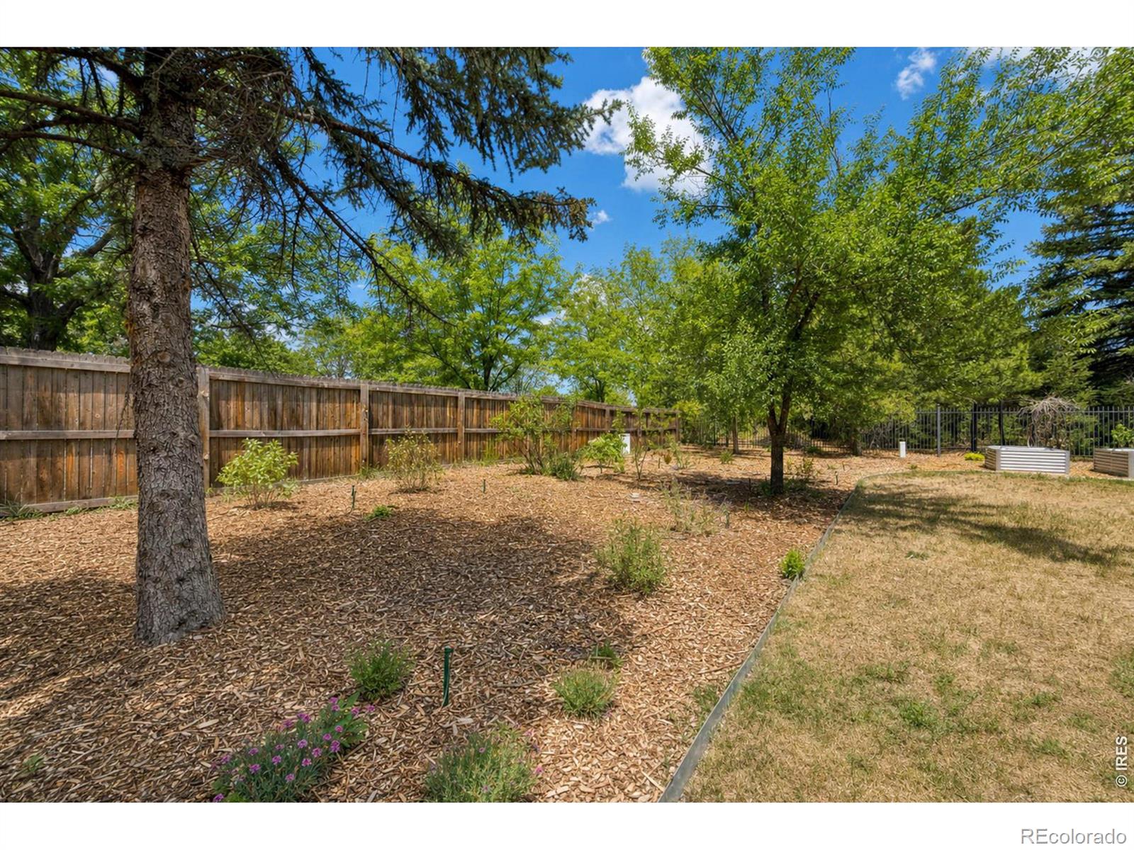 MLS Image #42 for 1269  winslow circle,longmont, Colorado