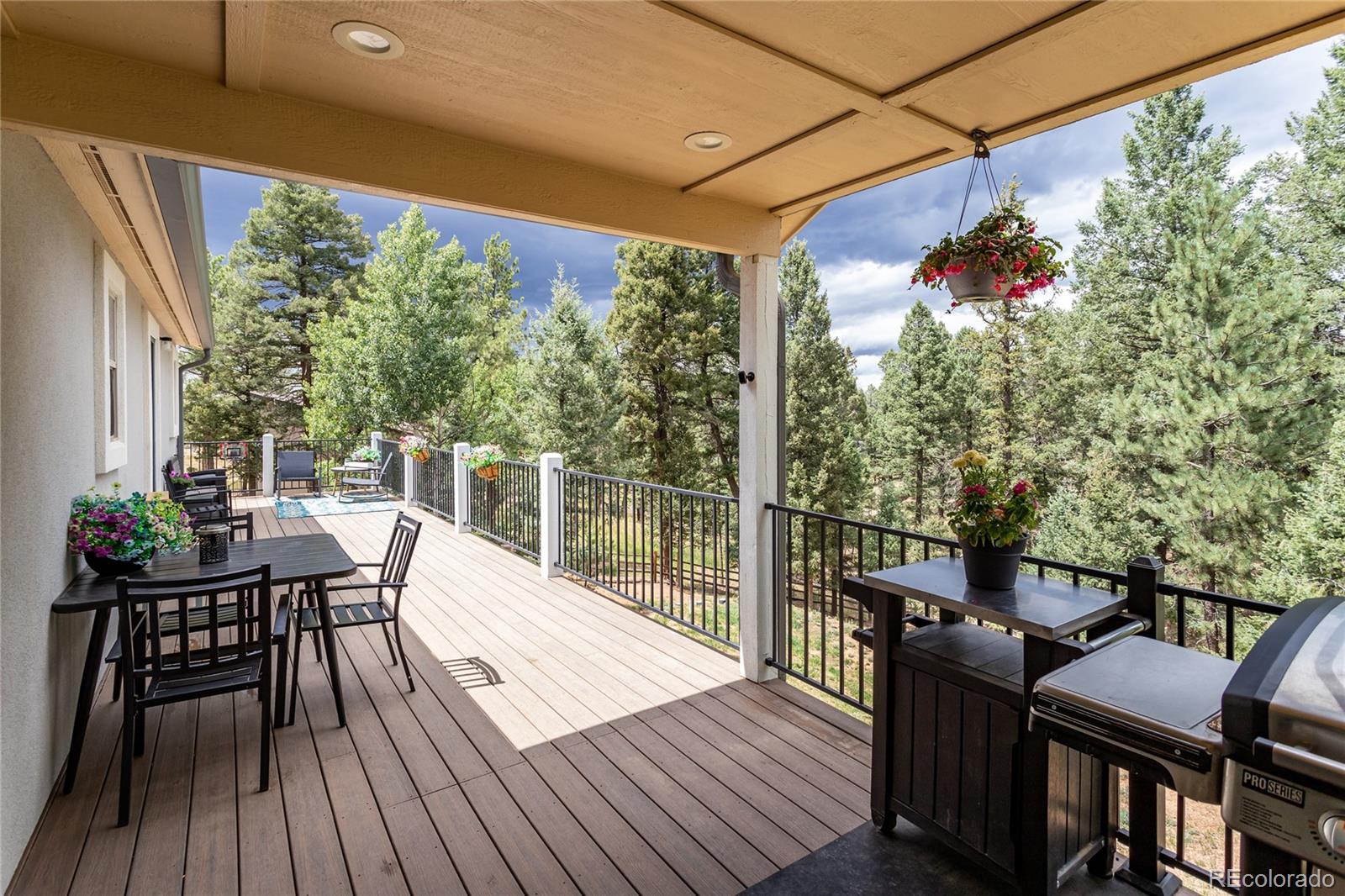 MLS Image #15 for 1427 n mountain estates road,florissant, Colorado