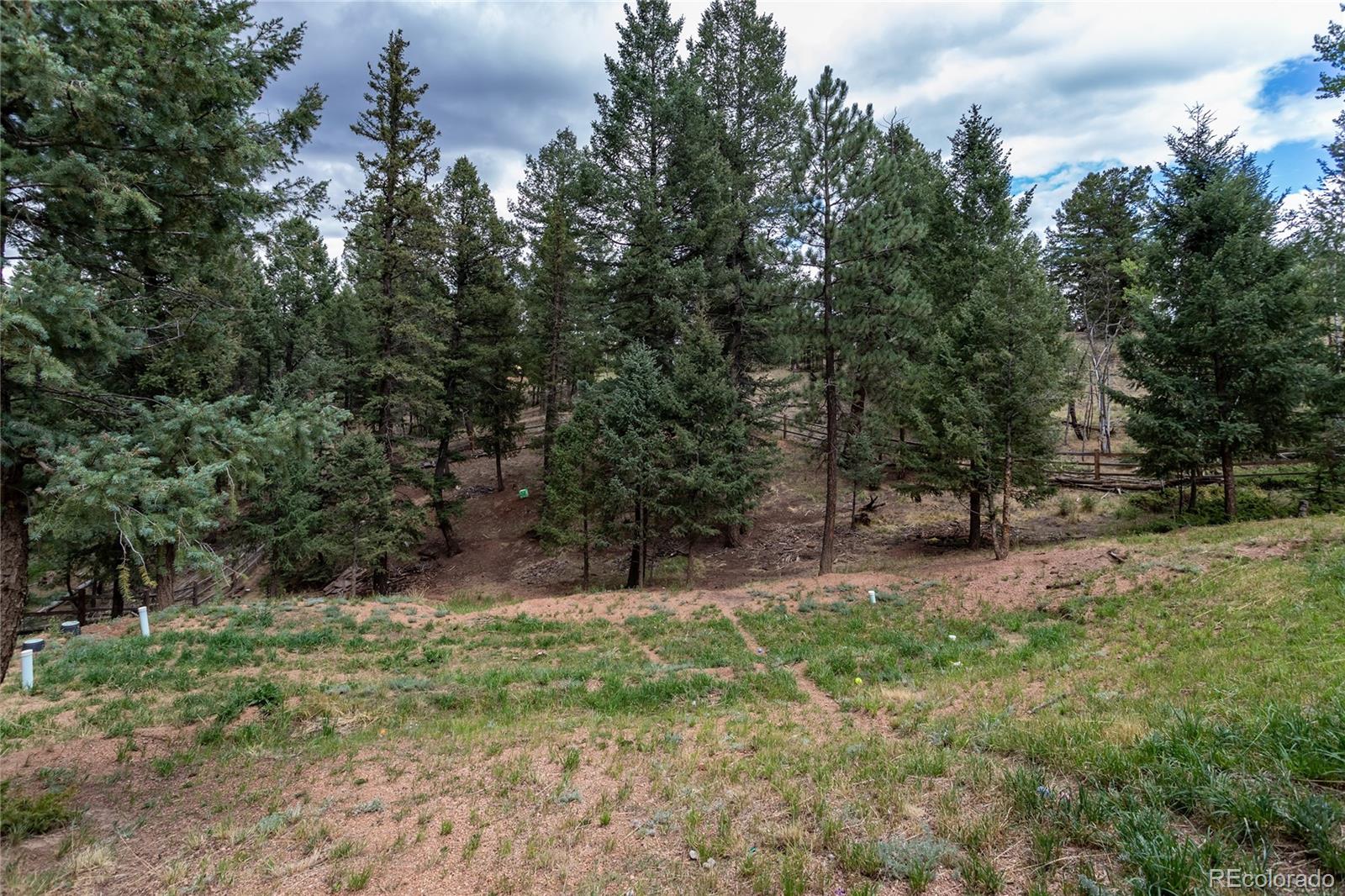 MLS Image #31 for 1427 n mountain estates road,florissant, Colorado