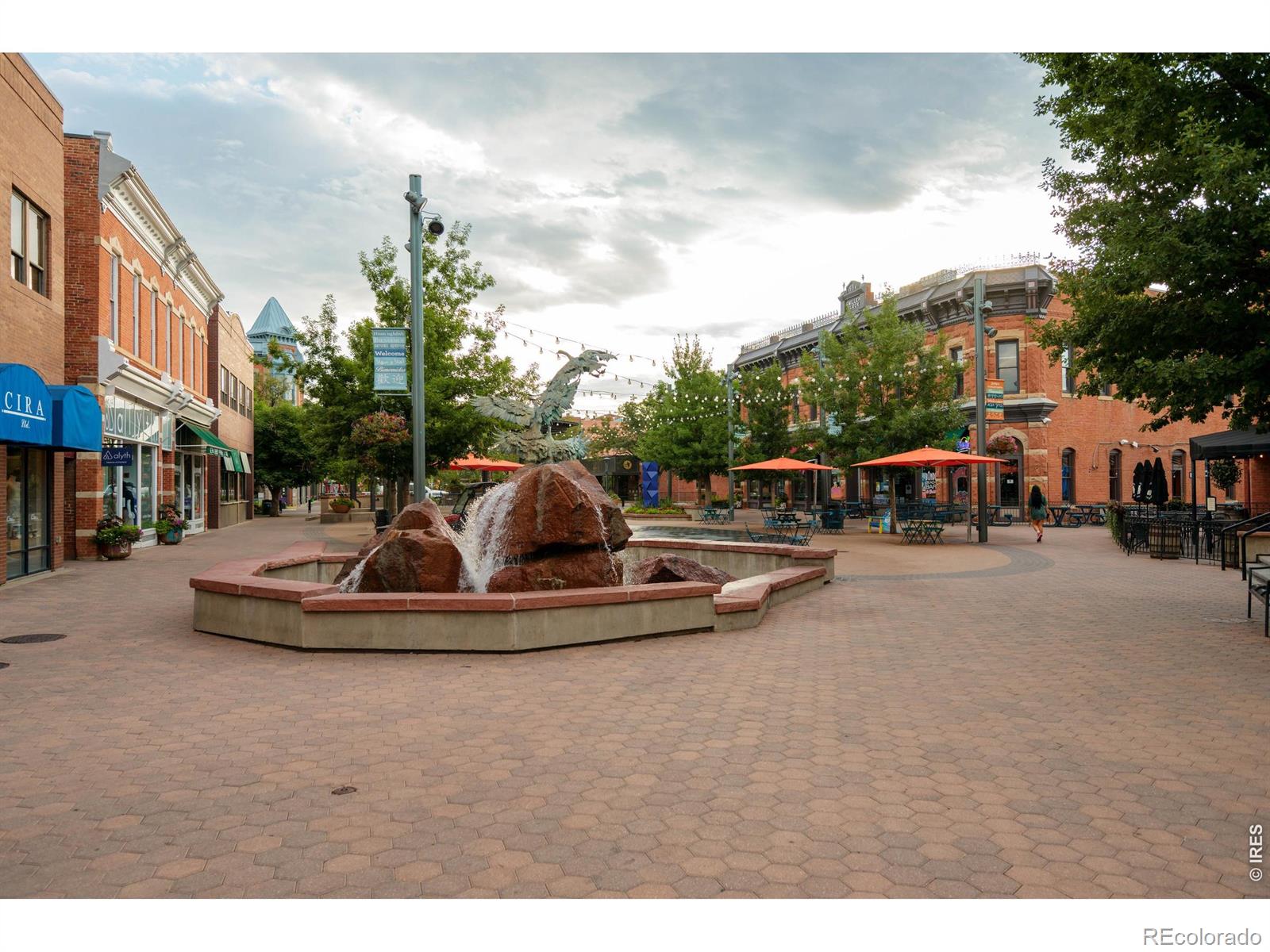 MLS Image #29 for 314  skyraider way,fort collins, Colorado