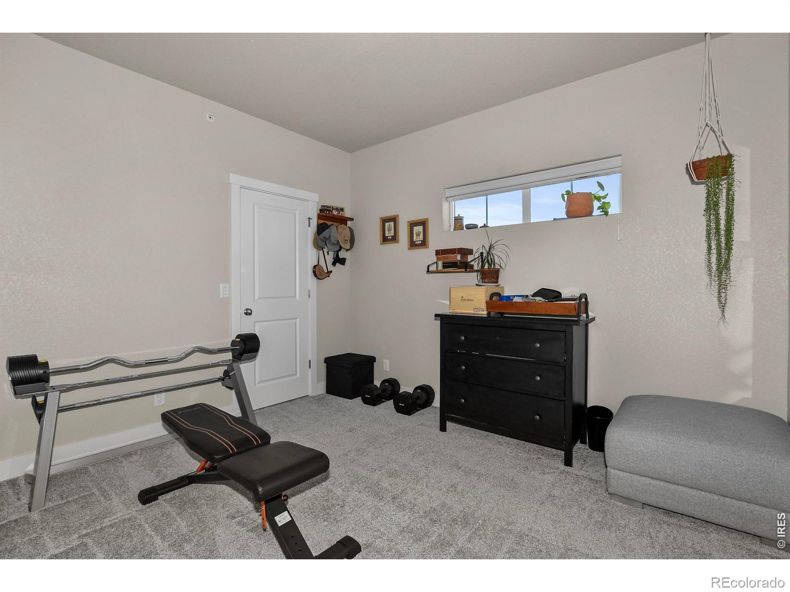 MLS Image #29 for 6826  school house drive,timnath, Colorado