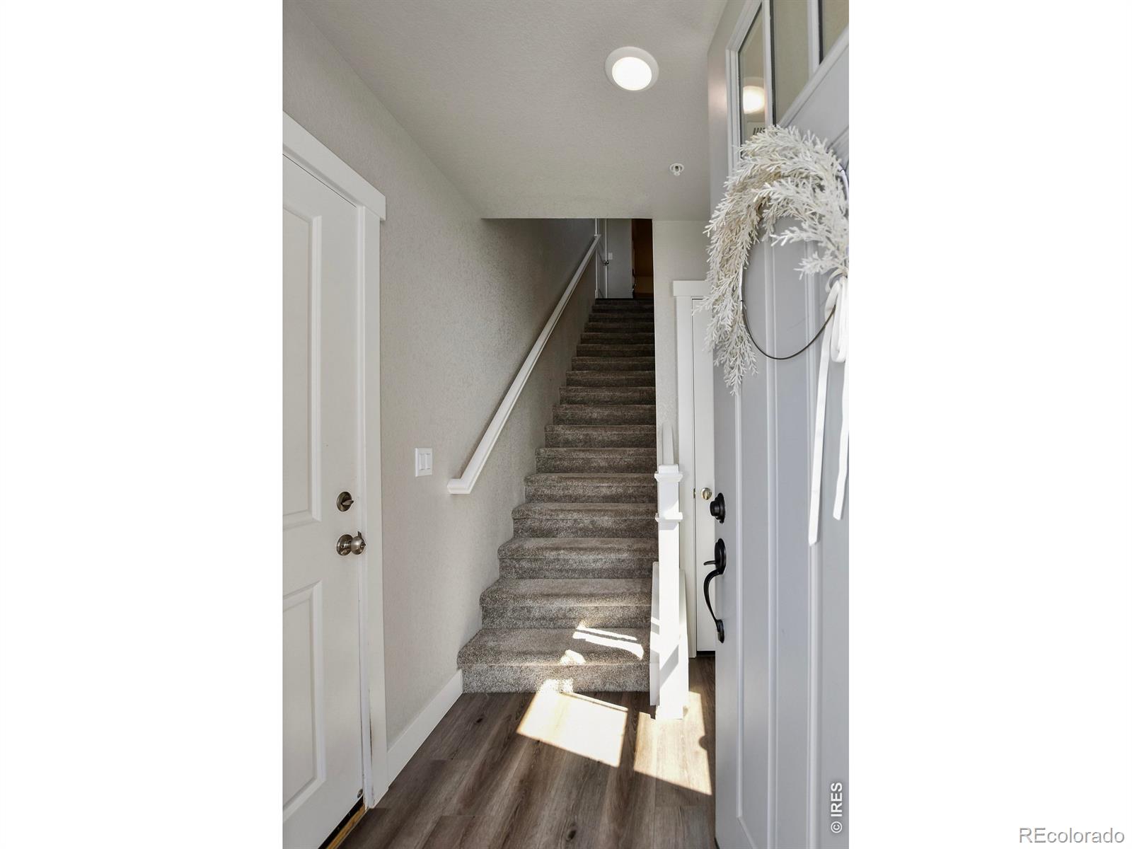 MLS Image #5 for 6826  school house drive,timnath, Colorado