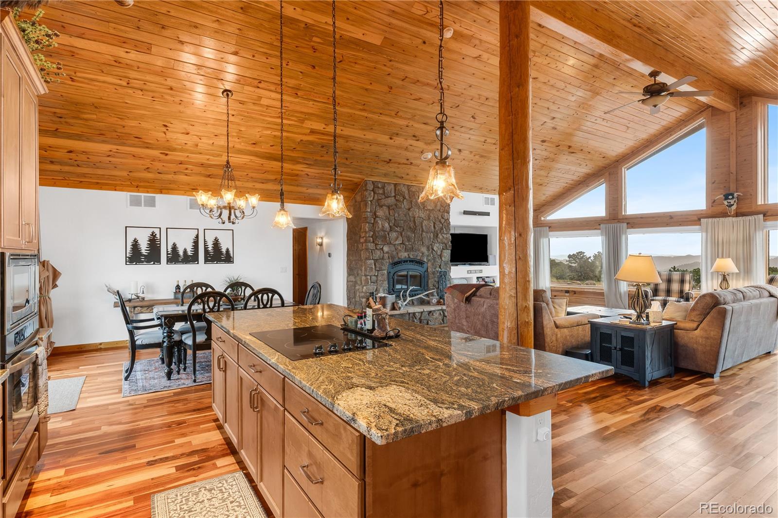 MLS Image #10 for 256  mountain top road,canon city, Colorado