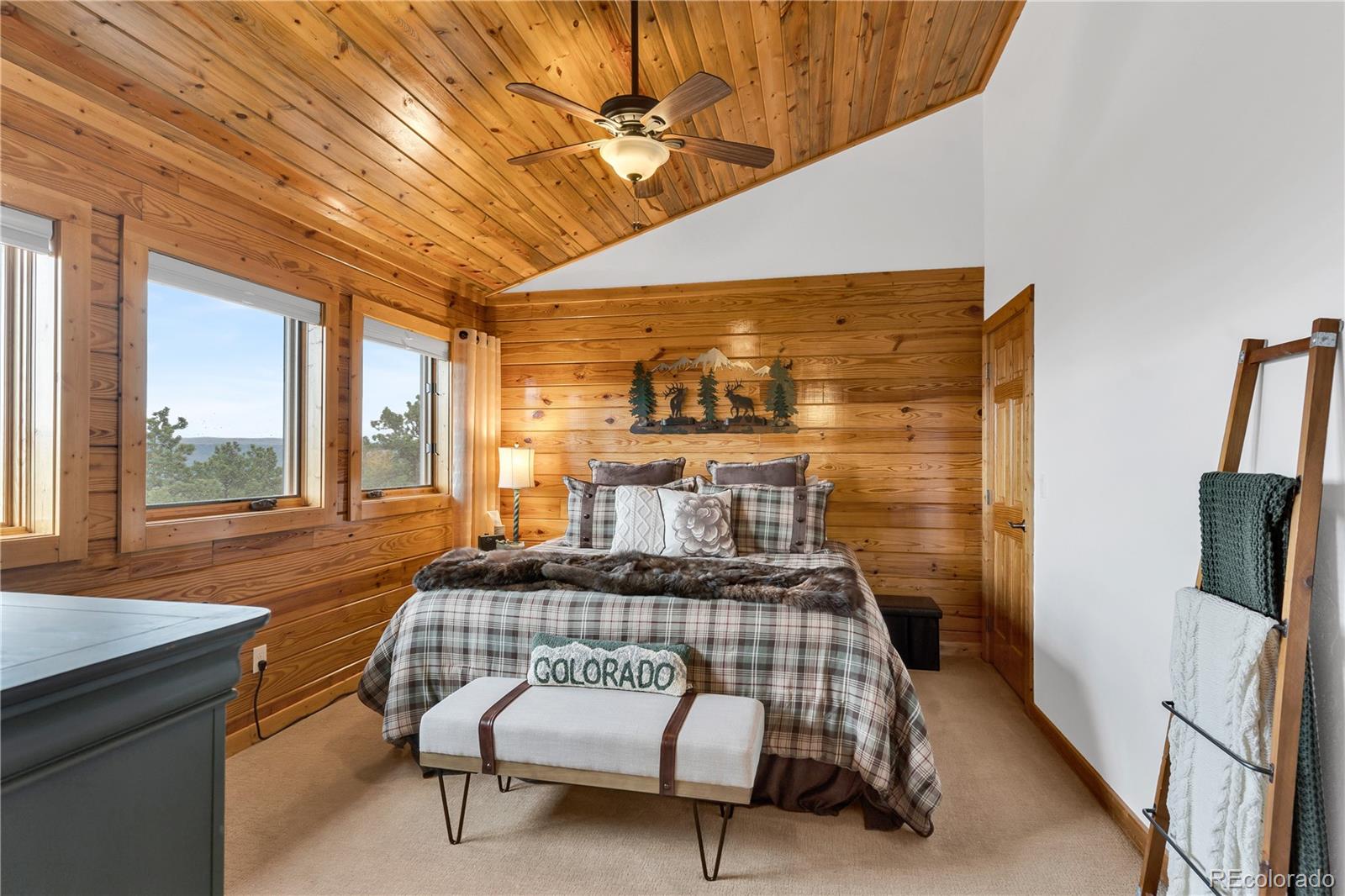 MLS Image #19 for 256  mountain top road,canon city, Colorado