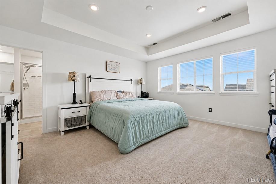 MLS Image #19 for 14854  elm street,brighton, Colorado