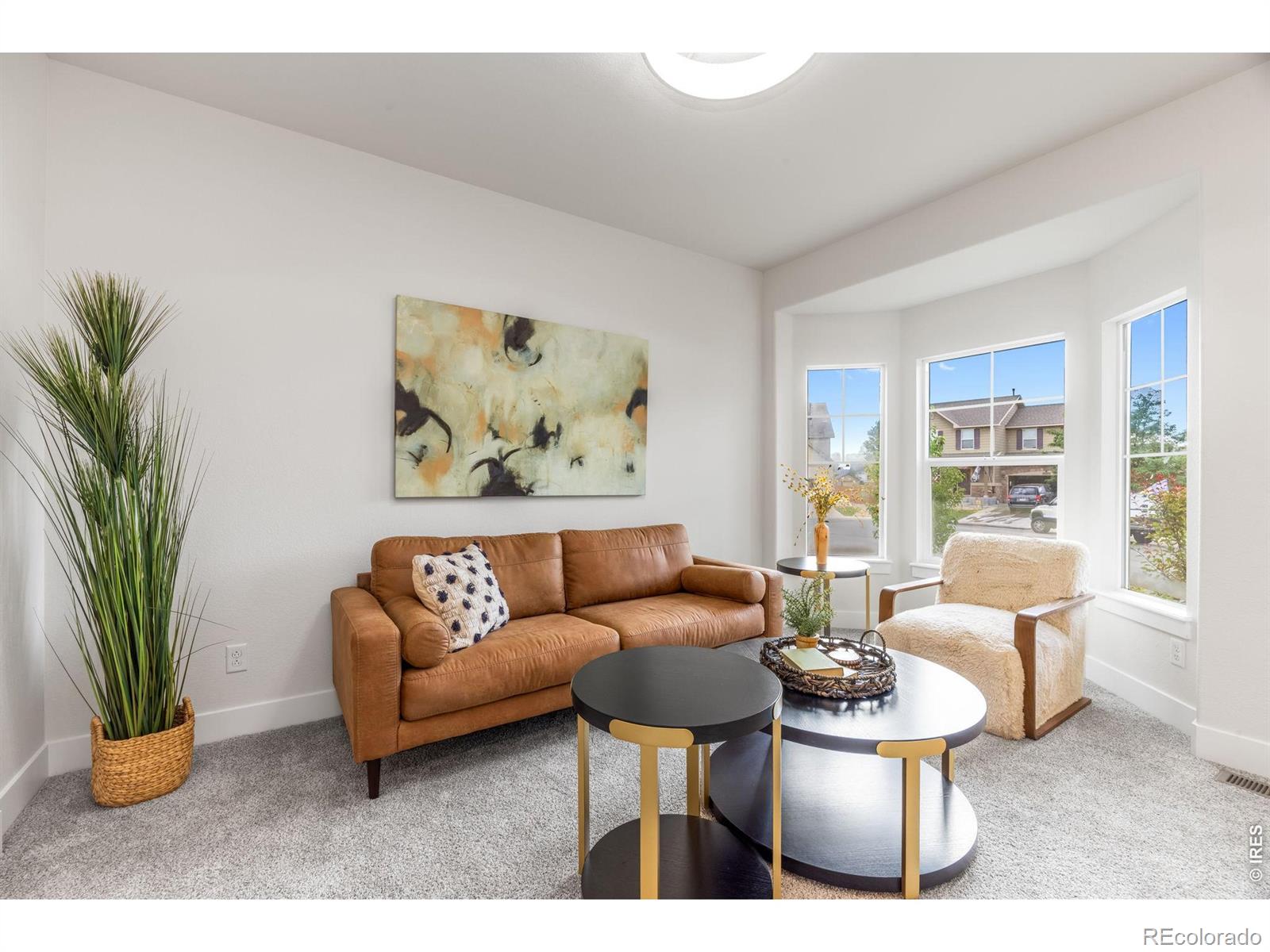 MLS Image #13 for 1555  benfleet court,windsor, Colorado