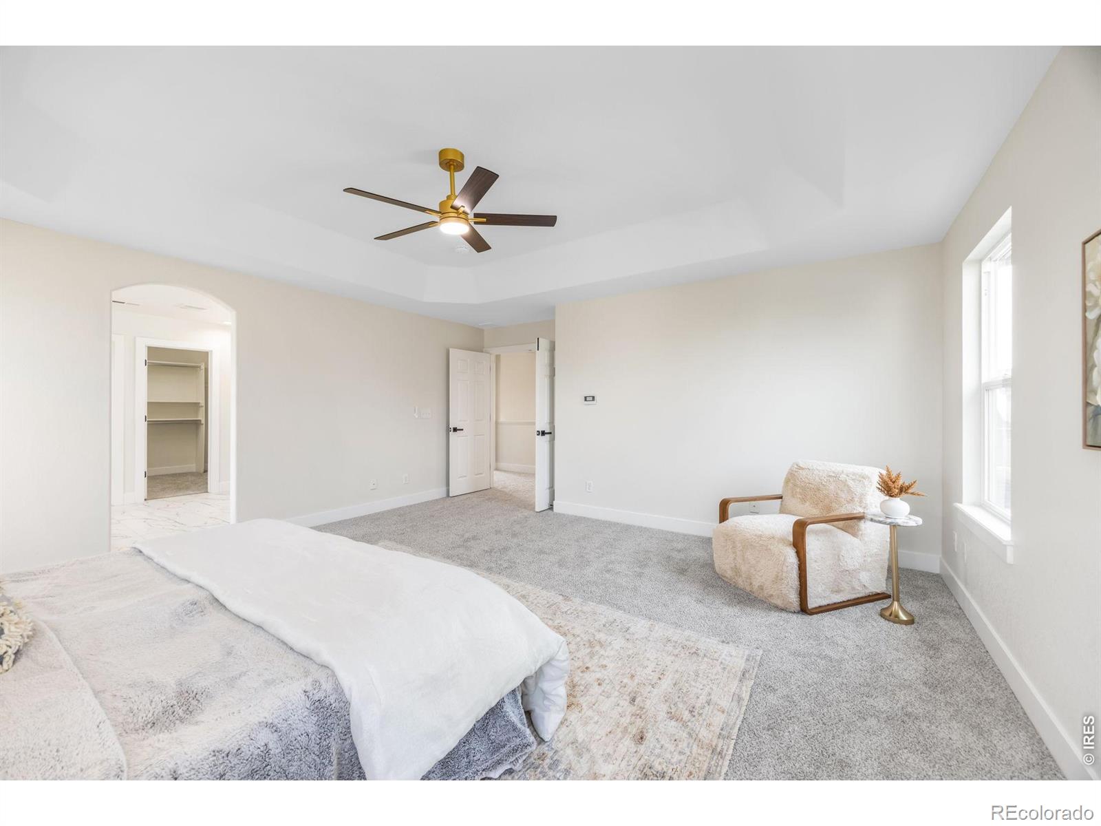 MLS Image #19 for 1555  benfleet court,windsor, Colorado