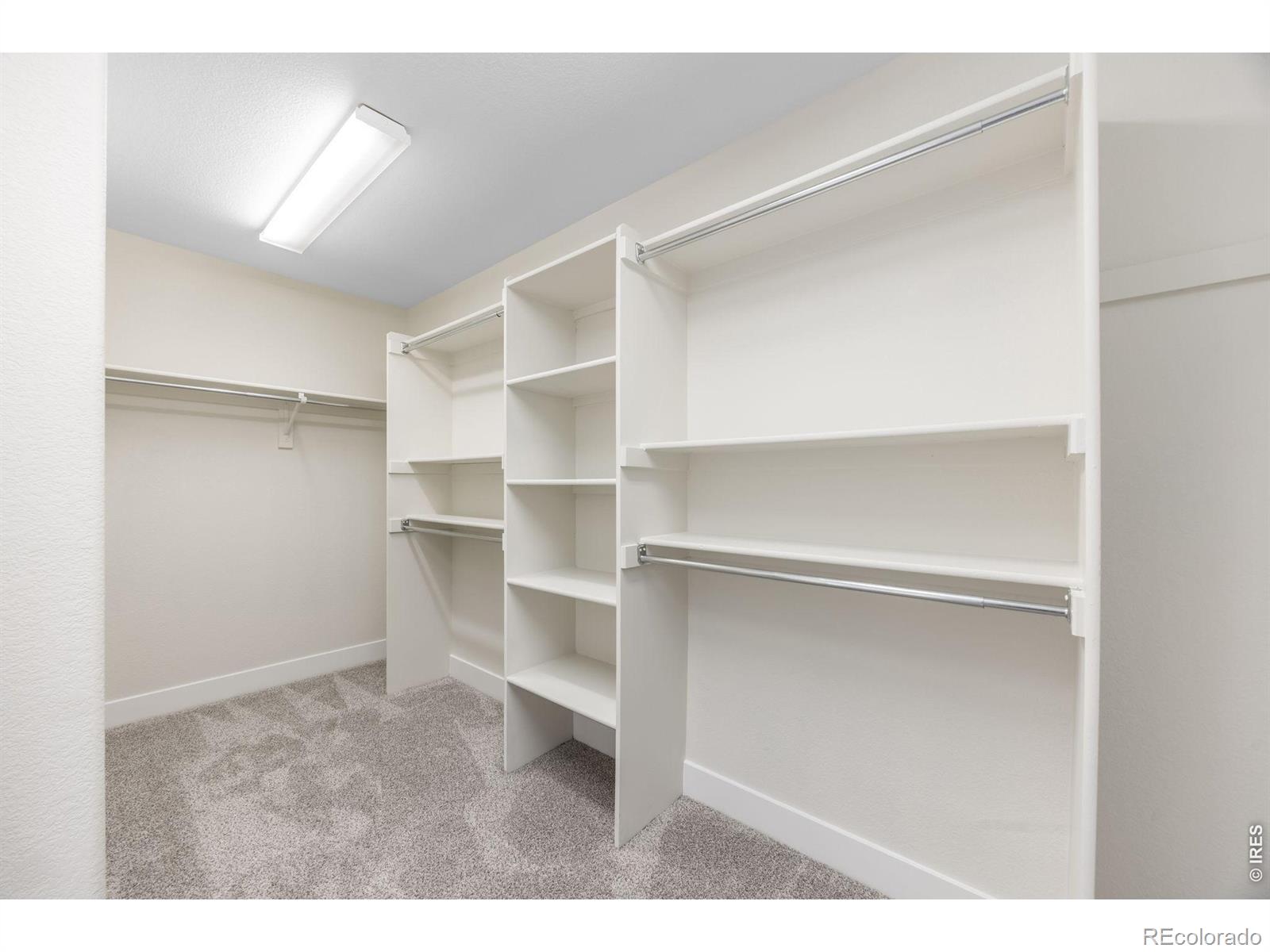 MLS Image #22 for 1555  benfleet court,windsor, Colorado