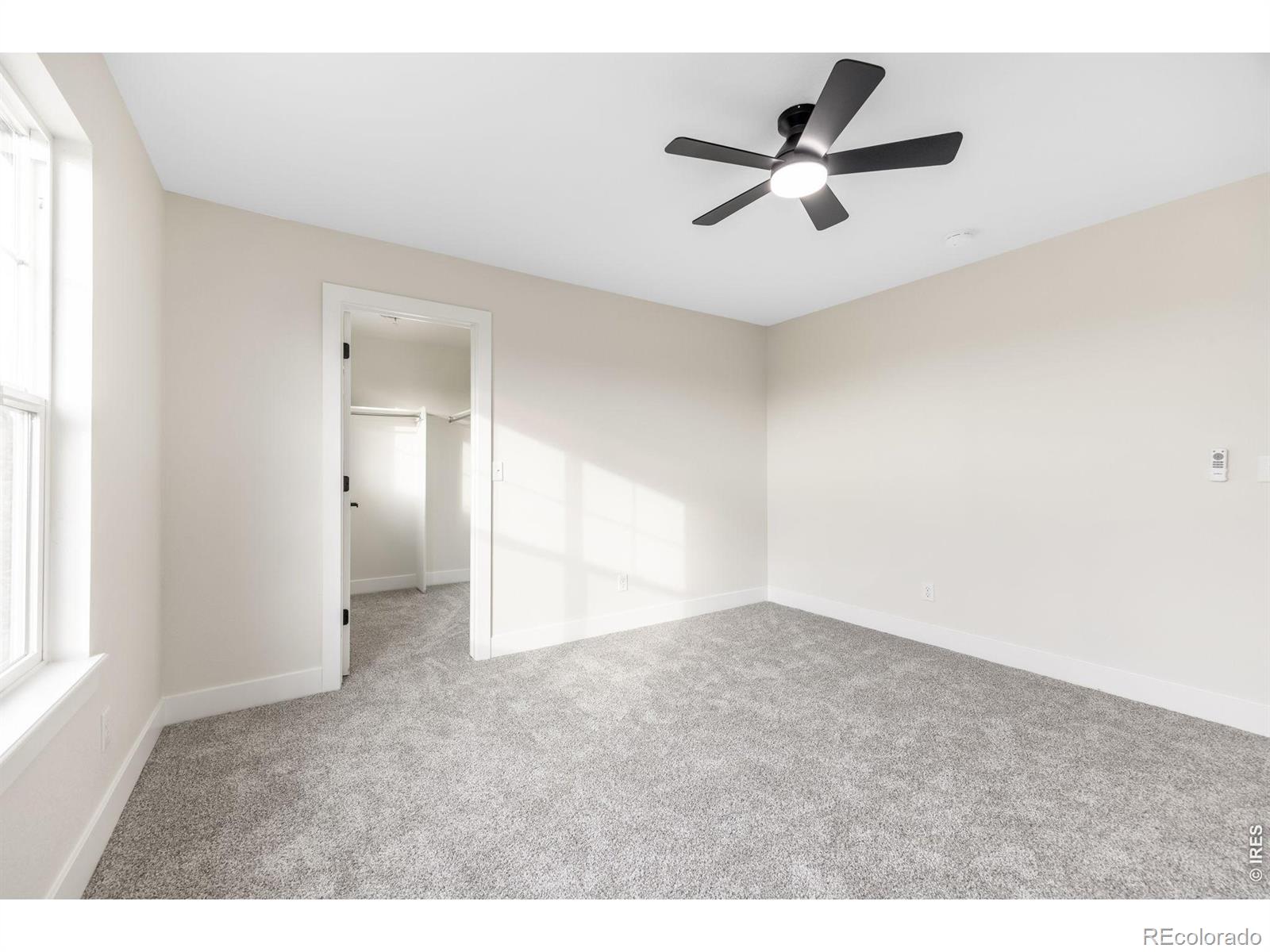 MLS Image #27 for 1555  benfleet court,windsor, Colorado