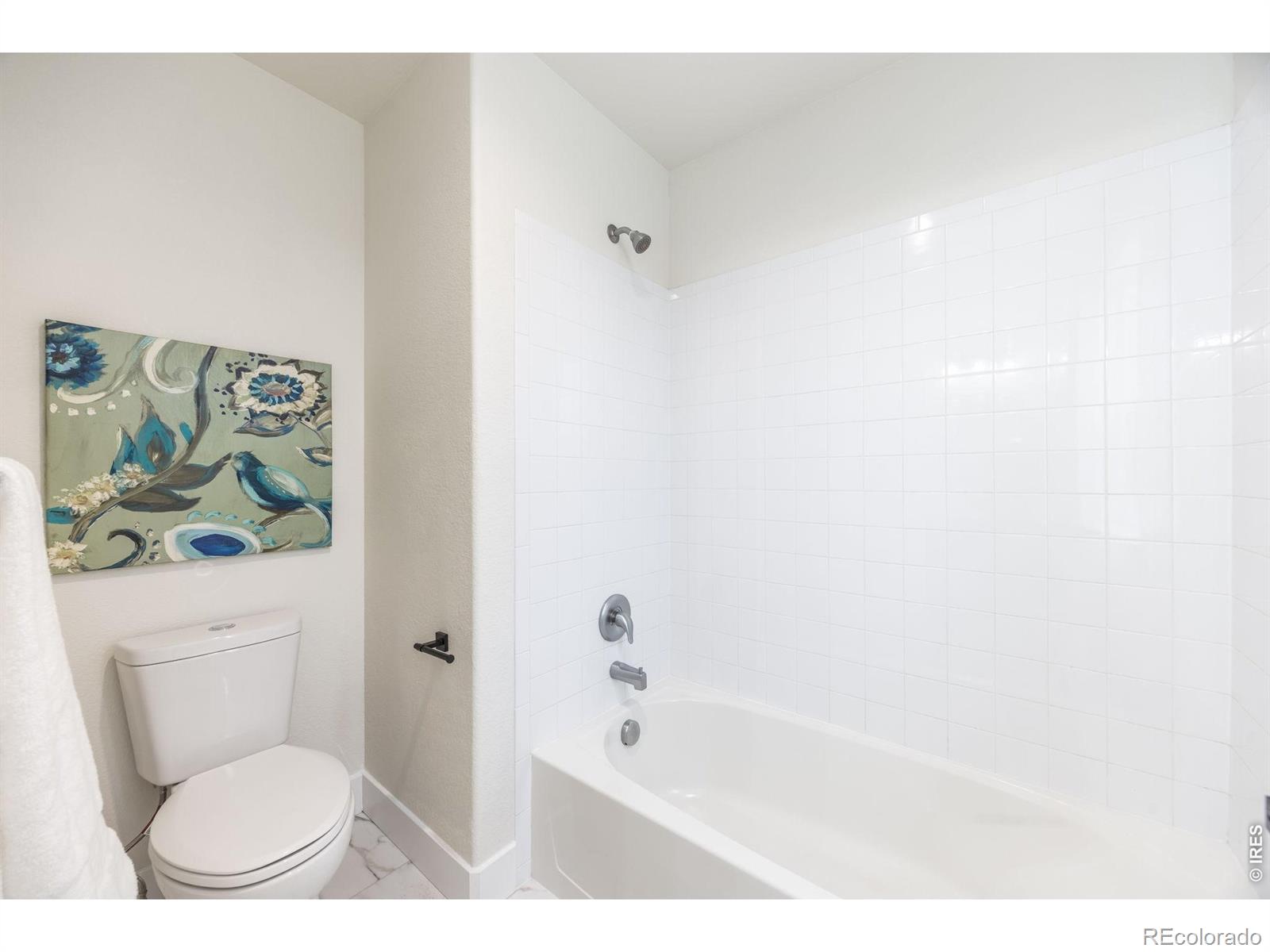 MLS Image #30 for 1555  benfleet court,windsor, Colorado