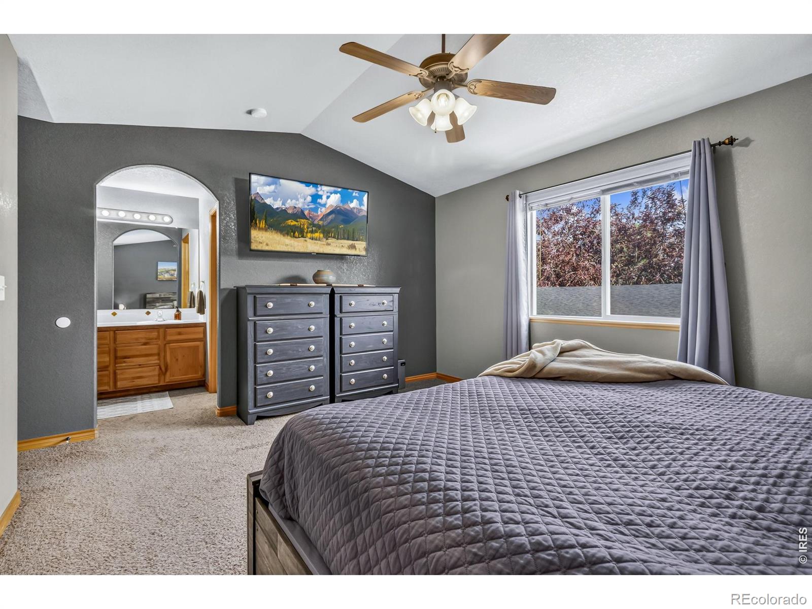 MLS Image #19 for 9050  spirit street,wellington, Colorado