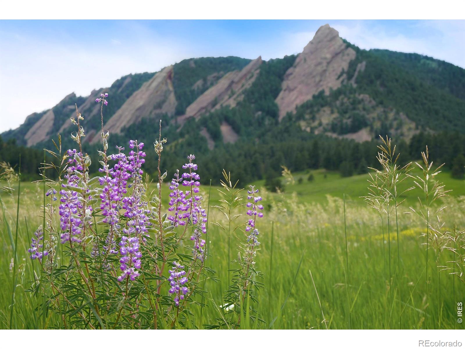 MLS Image #34 for 1344  6th street,boulder, Colorado