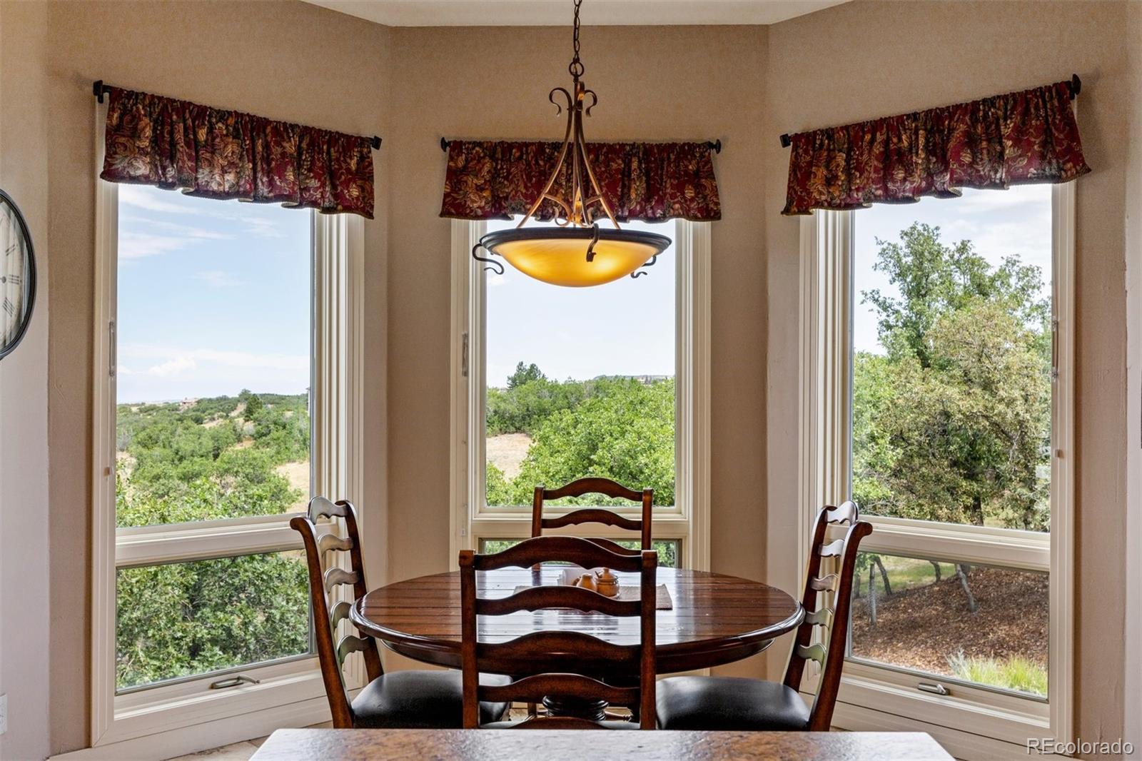 MLS Image #19 for 3521  castle butte drive,castle rock, Colorado