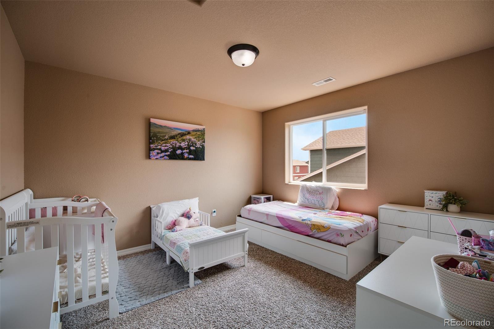 MLS Image #23 for 3641  desert willow lane,colorado springs, Colorado