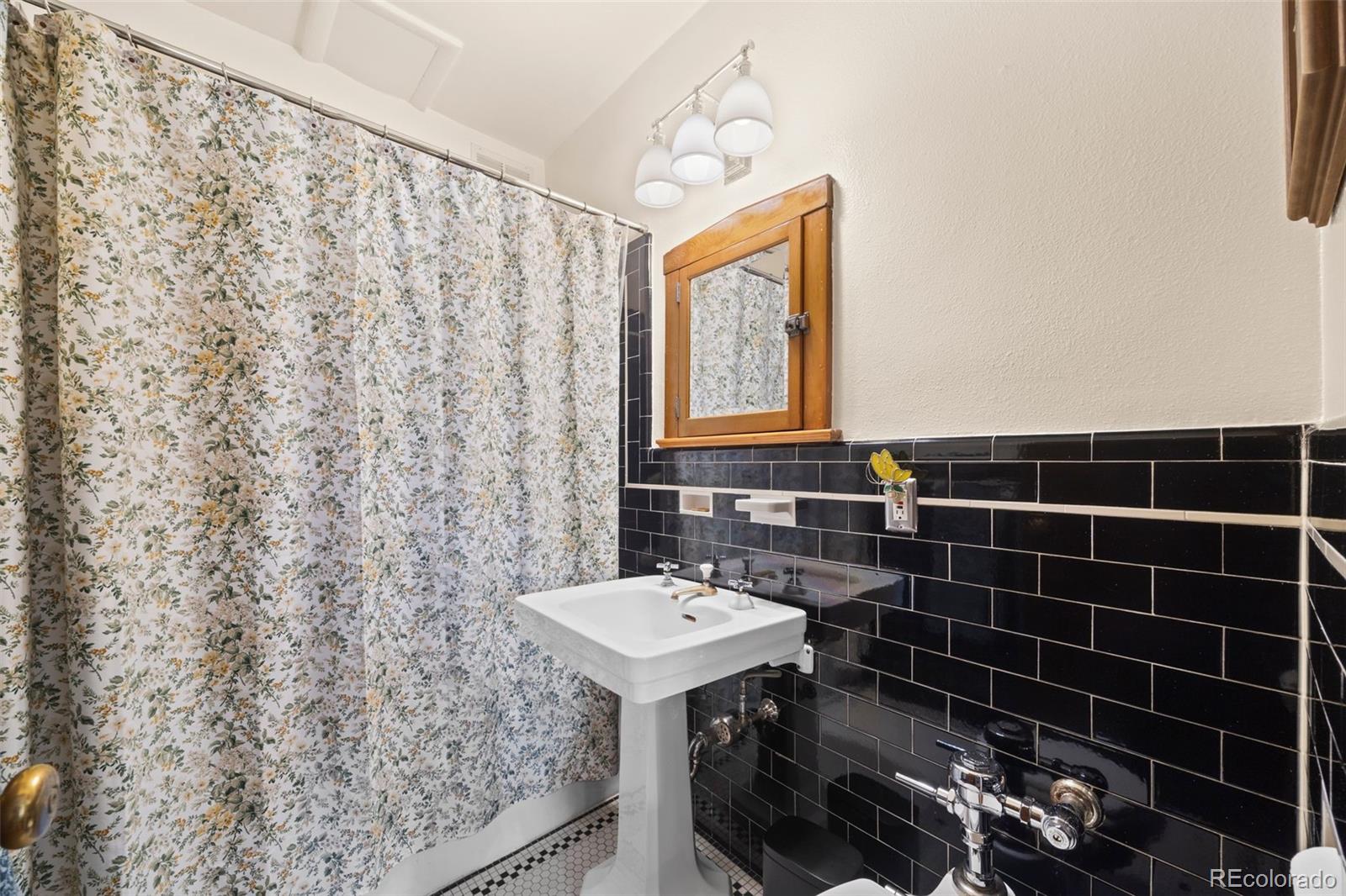 MLS Image #21 for 963 n logan street,denver, Colorado