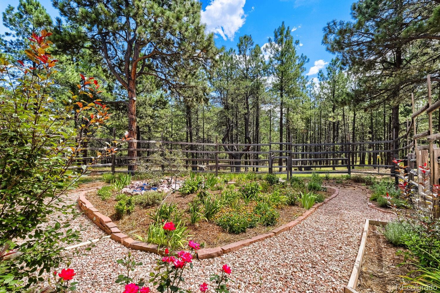MLS Image #46 for 9890  hardy road,colorado springs, Colorado
