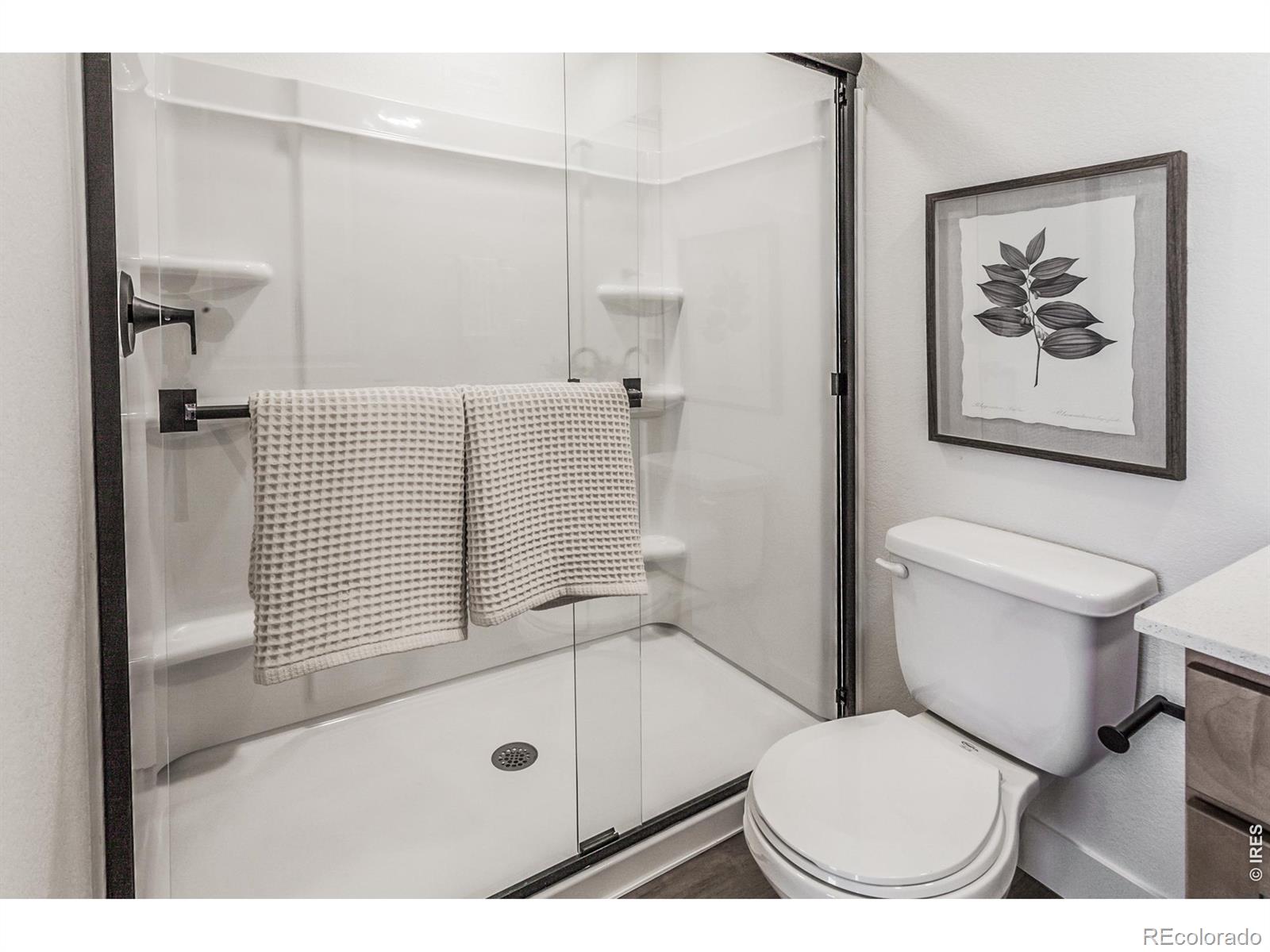 MLS Image #27 for 928  trumpet lane,windsor, Colorado