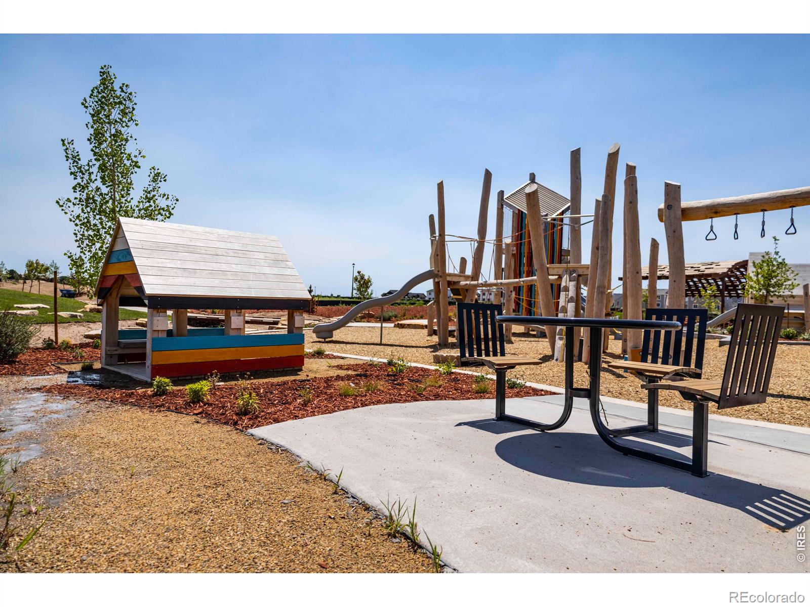 MLS Image #42 for 928  trumpet lane,windsor, Colorado