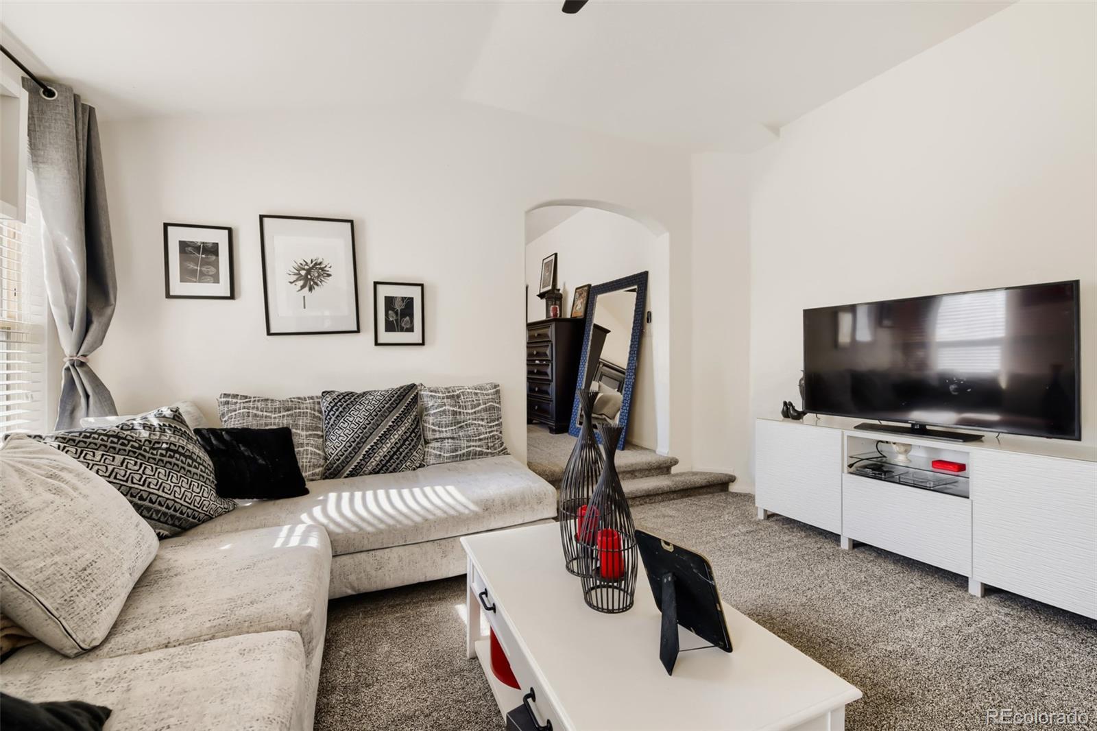 MLS Image #11 for 3347  thistlebrook circle,highlands ranch, Colorado