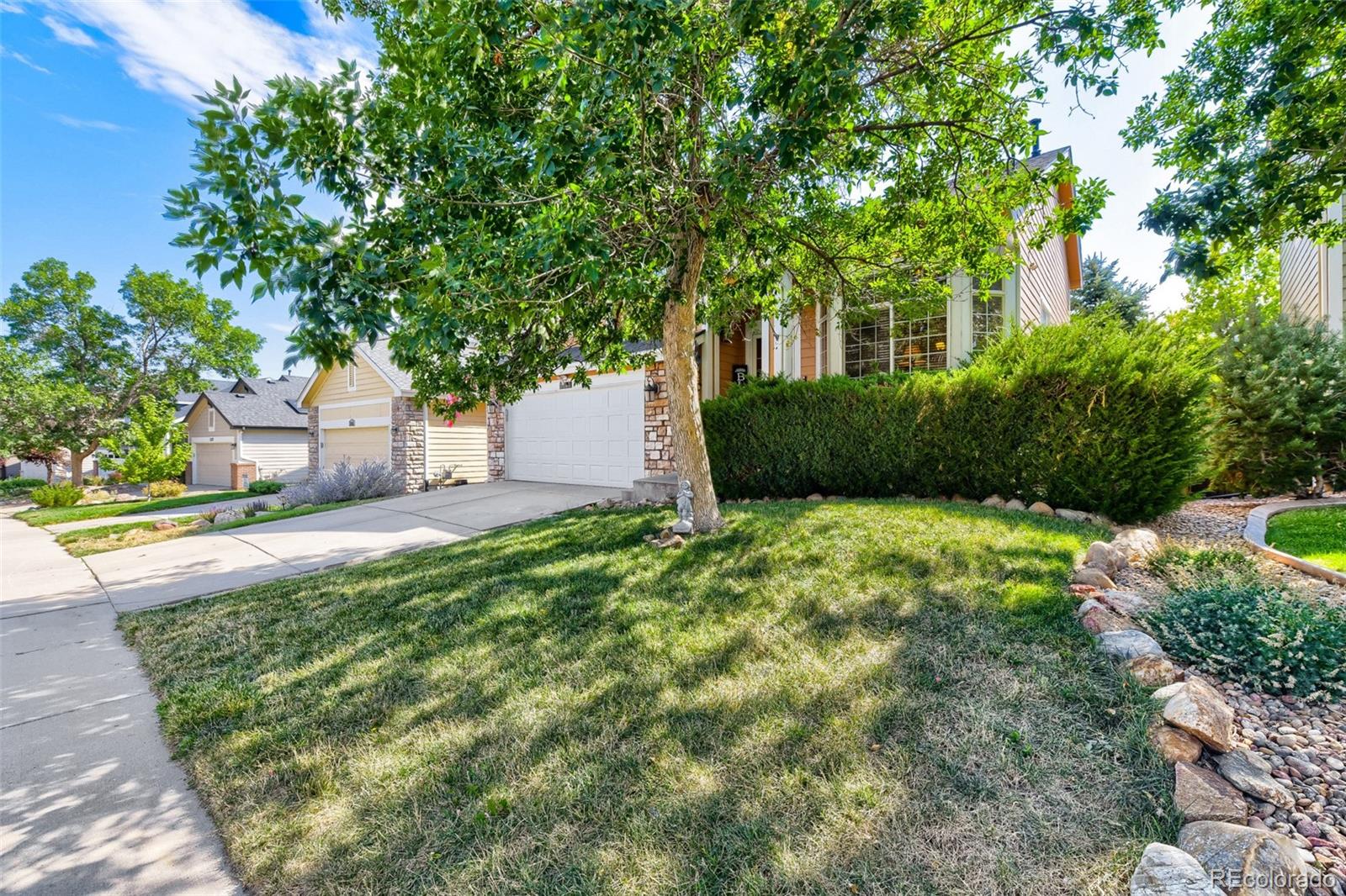 MLS Image #4 for 3347  thistlebrook circle,highlands ranch, Colorado
