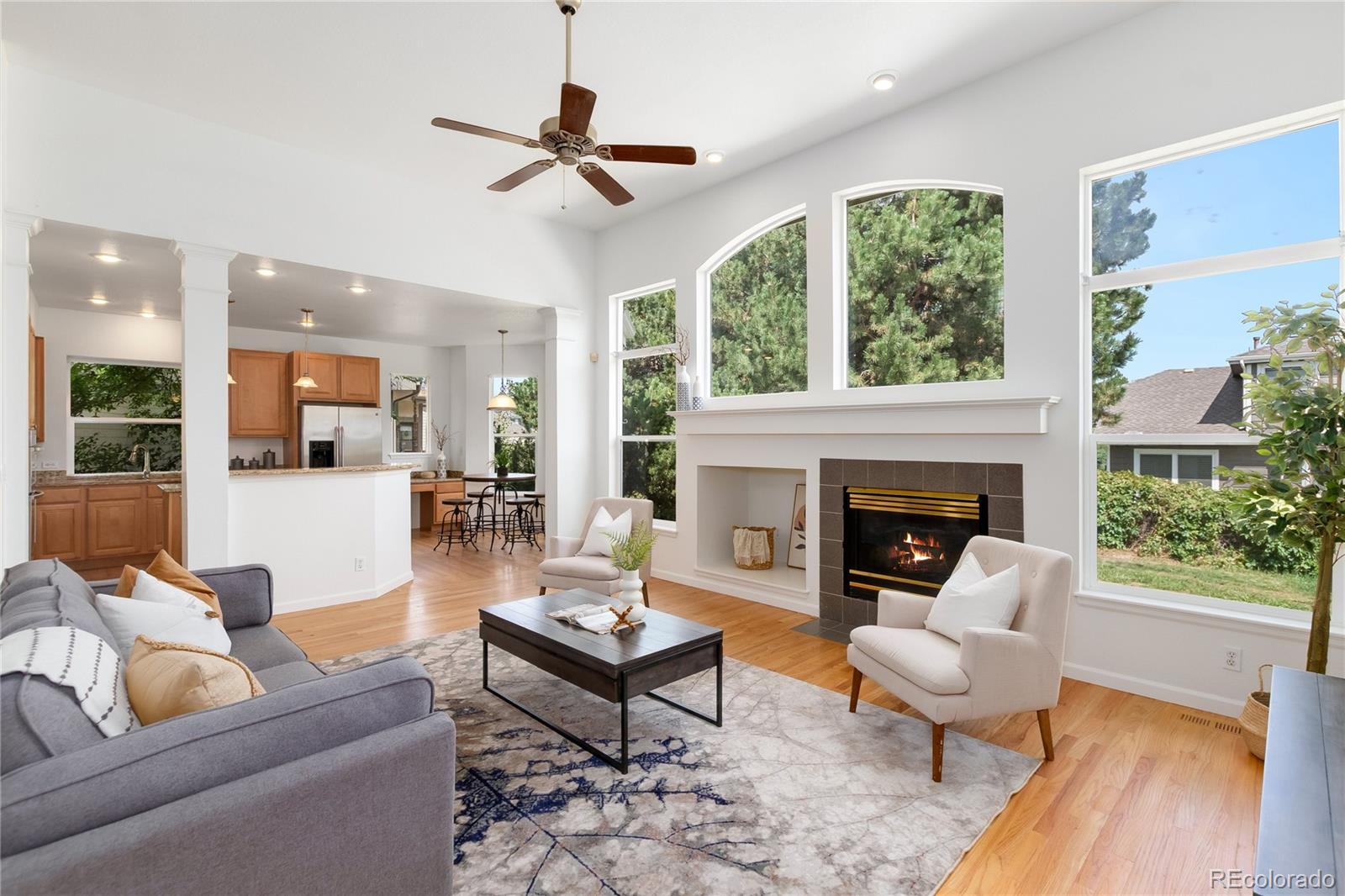 MLS Image #18 for 71  sylvestor place,highlands ranch, Colorado